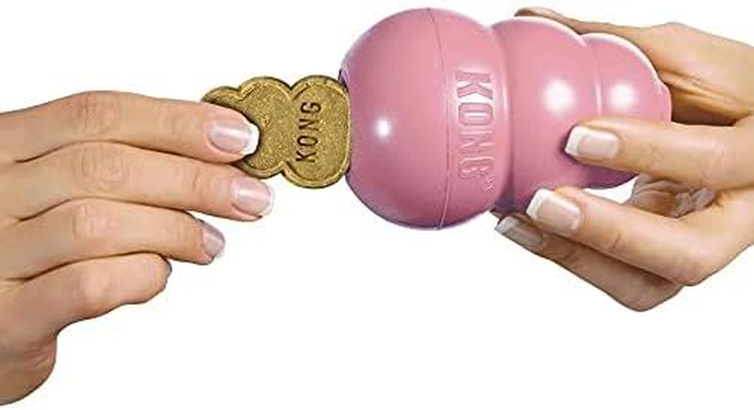 KONG - Snacks - All Natural Dog Treats (Best Used with KONG Puppy Rubber Toys) - Puppy Biscuits - for Small Dogs image number 4