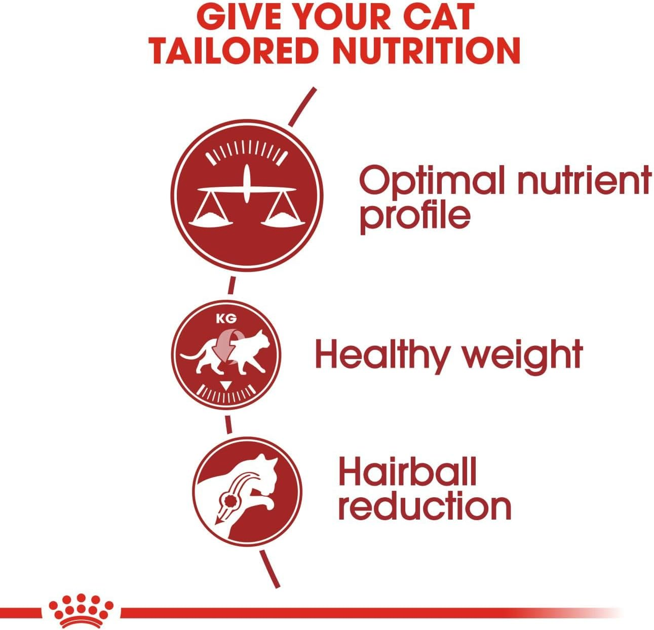 Royal Canin Adult Fit Cat Food 2 Kg image number 3