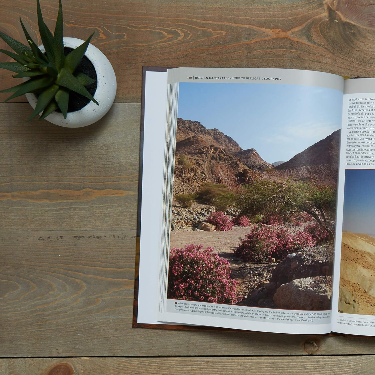 Holman Illustrated Guide to Biblical Geography: Reading the Land image number 5