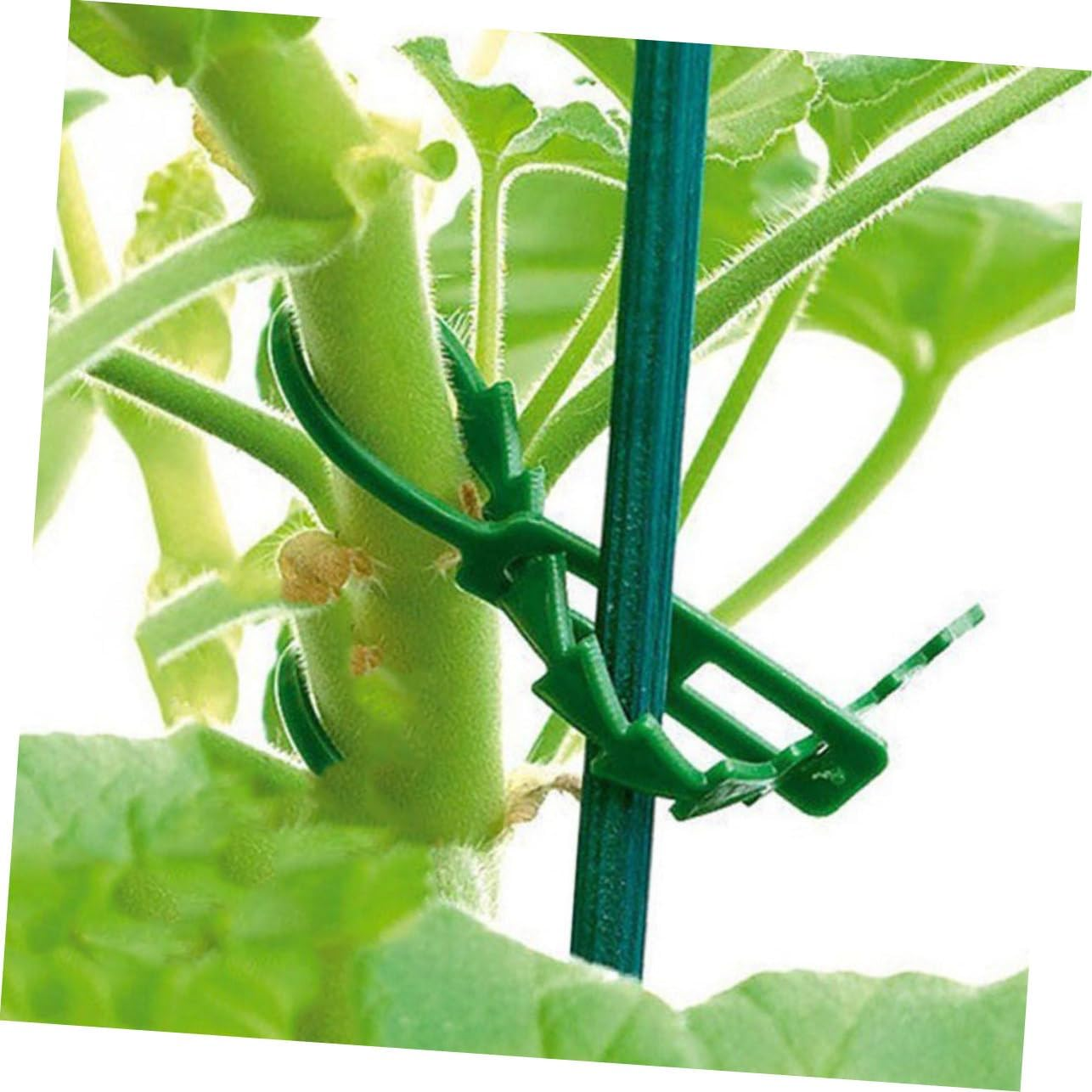BCOATH 200Pcs Gardening Plant Support Strap Soft Plant Ties Tape for Outdoor Material image number 6
