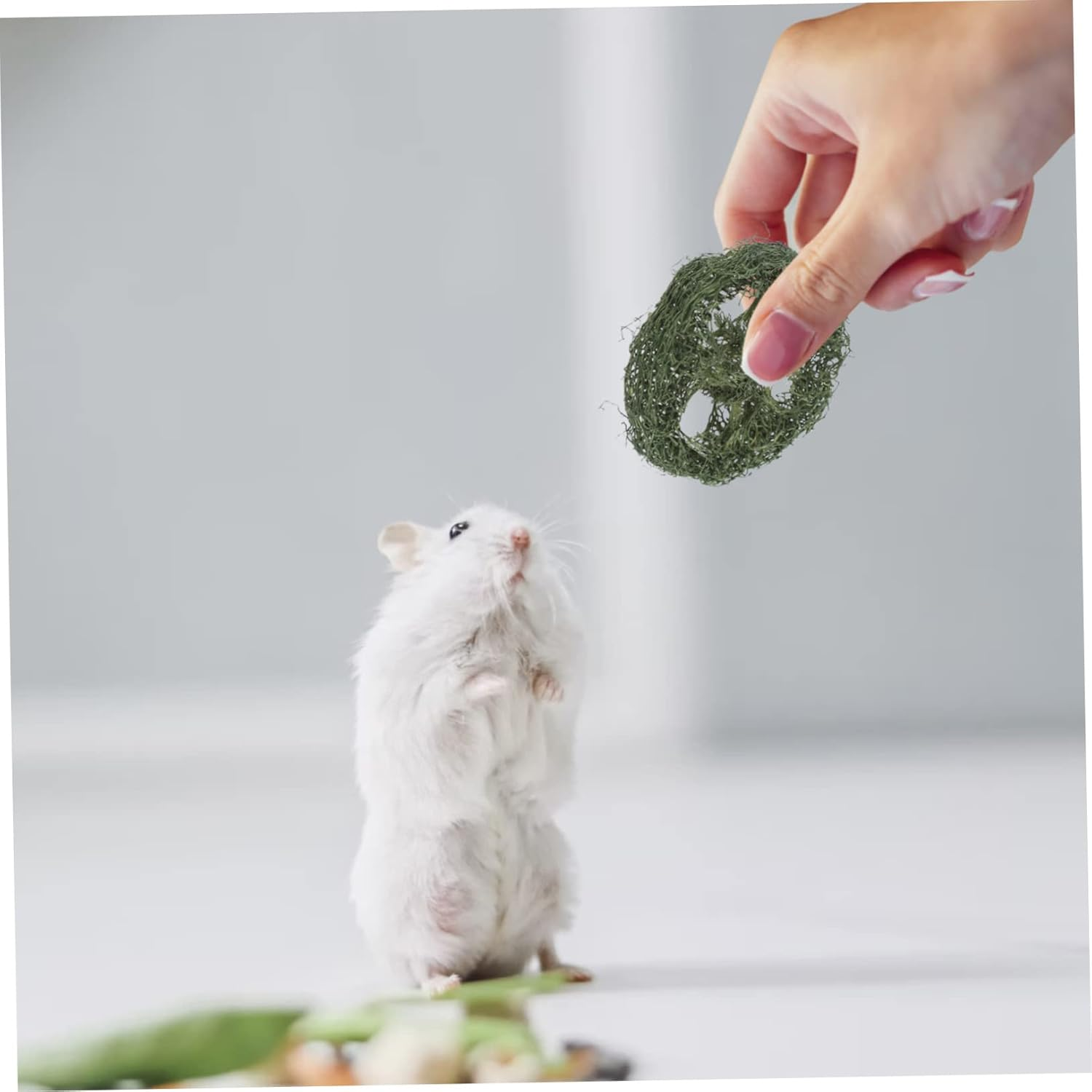 UKCOCO 12Pcs Loofah Chew Toys Small Animal Toys Guinea Pig Chew Supplies Organic Loofah Teeth Cleaning Vibrant Colour Hamster Rabbit PET Random Color image number 2