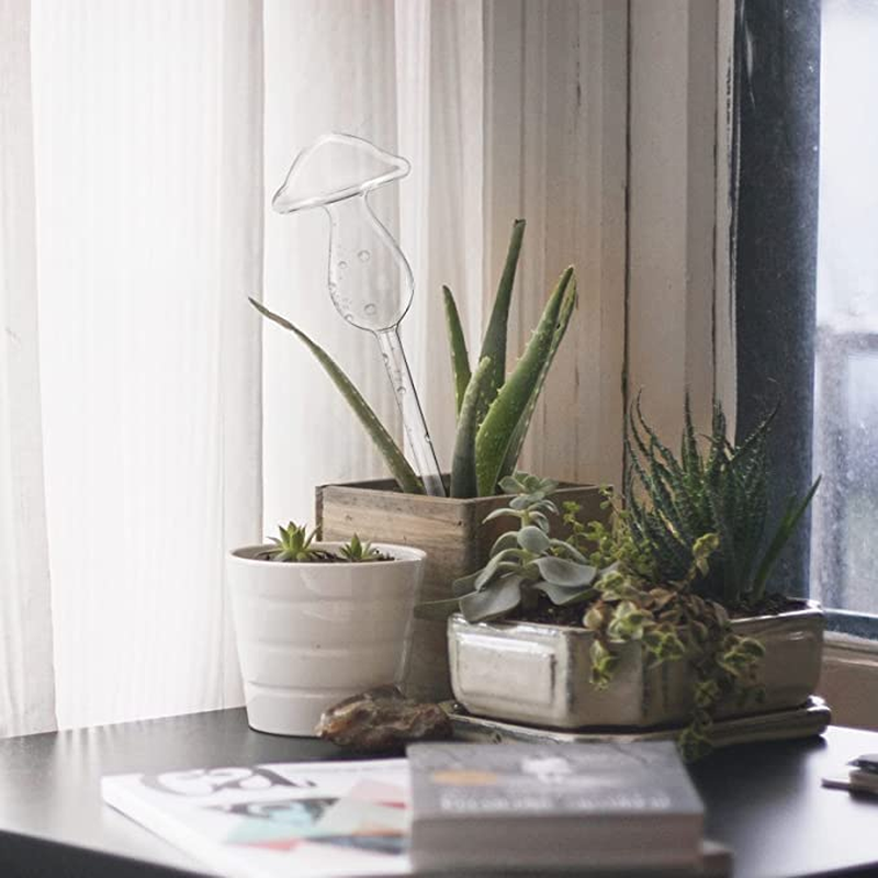 3Pcs Plant Waterer Self Watering Globes, Hand Blown Clear Glass Plant Water Bulbs for Indoor & Outdoor (Mushroom) image number 5