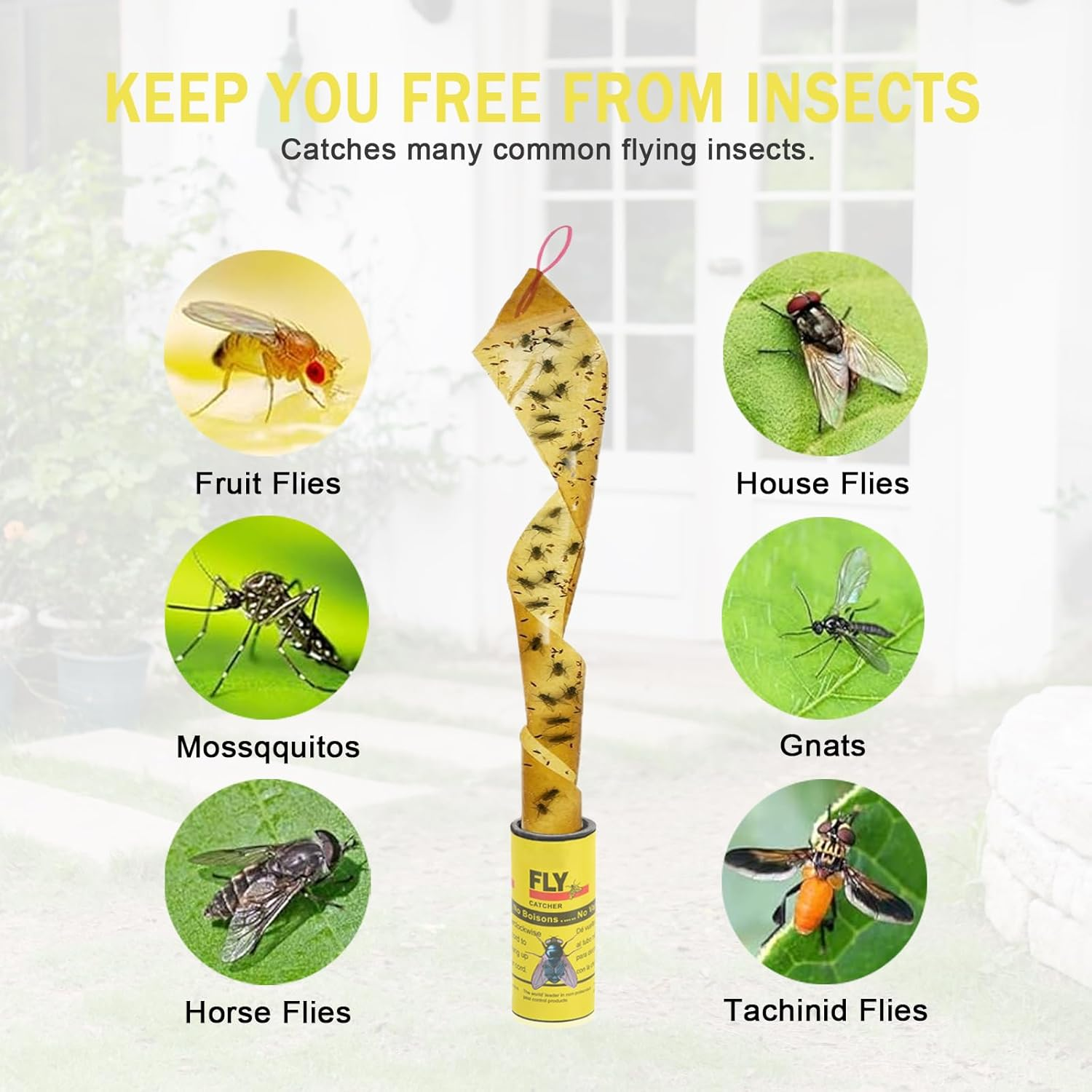 Jotia 16Pcs Fly Paper Strips Traps for Indoors Outdoor, Fruit Fly Paper Rolls Gnat Trap Sticky Tape Catcher Ribbon Set Hanging Insect Mosquito Traps image number 4