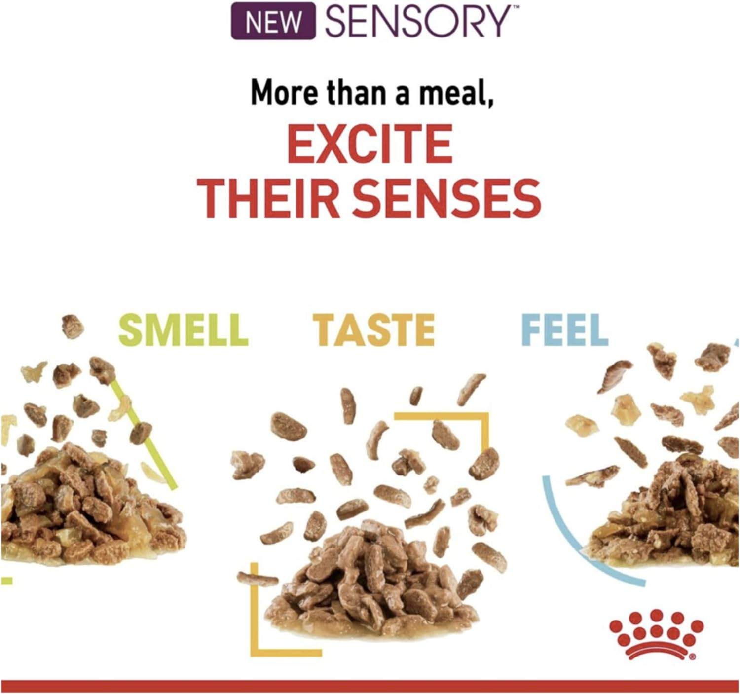 Royal Canin Sensory Smell in Gravy Adult Pouches Wet Cat Food 85 GMS 12 Pack image number 5