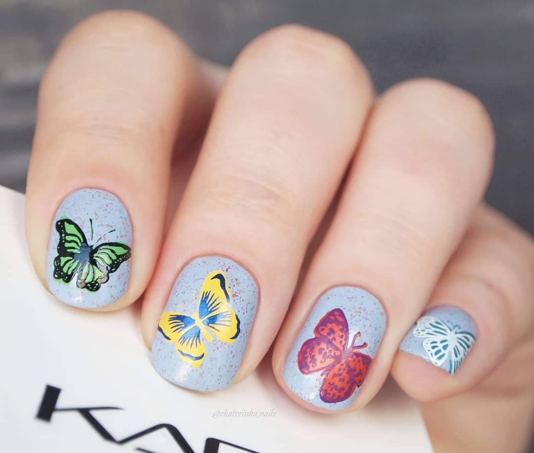 Alexnailart Nail Stamping Plate Butterfly Nail Art Stamp Template DIY Image Template Manicure Stamping Plate Stencil Tools (NA001) image number 5