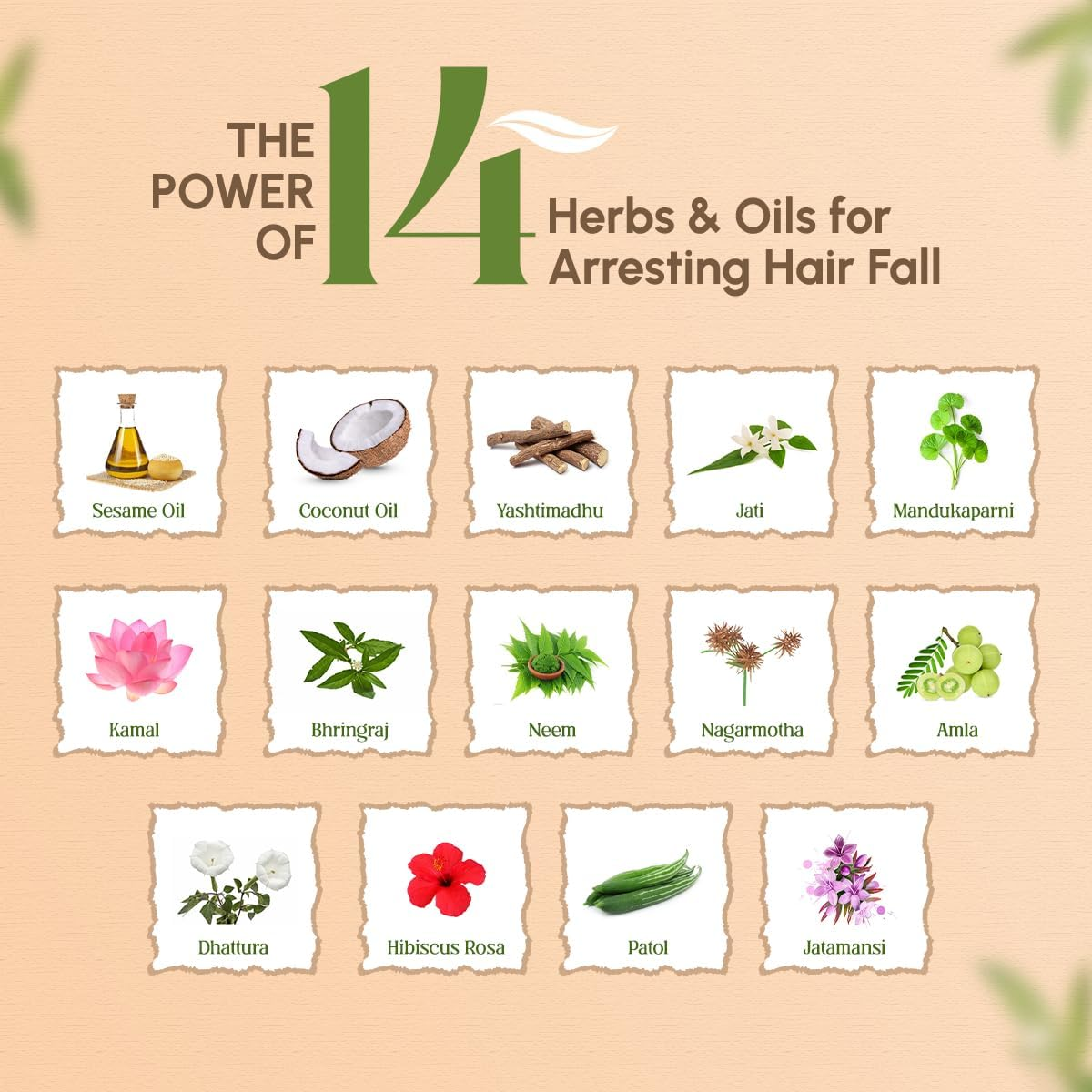 Trichup Hair Fall Control Herbal Hair Oil (100 Ml) (Pack of 4) image number 2