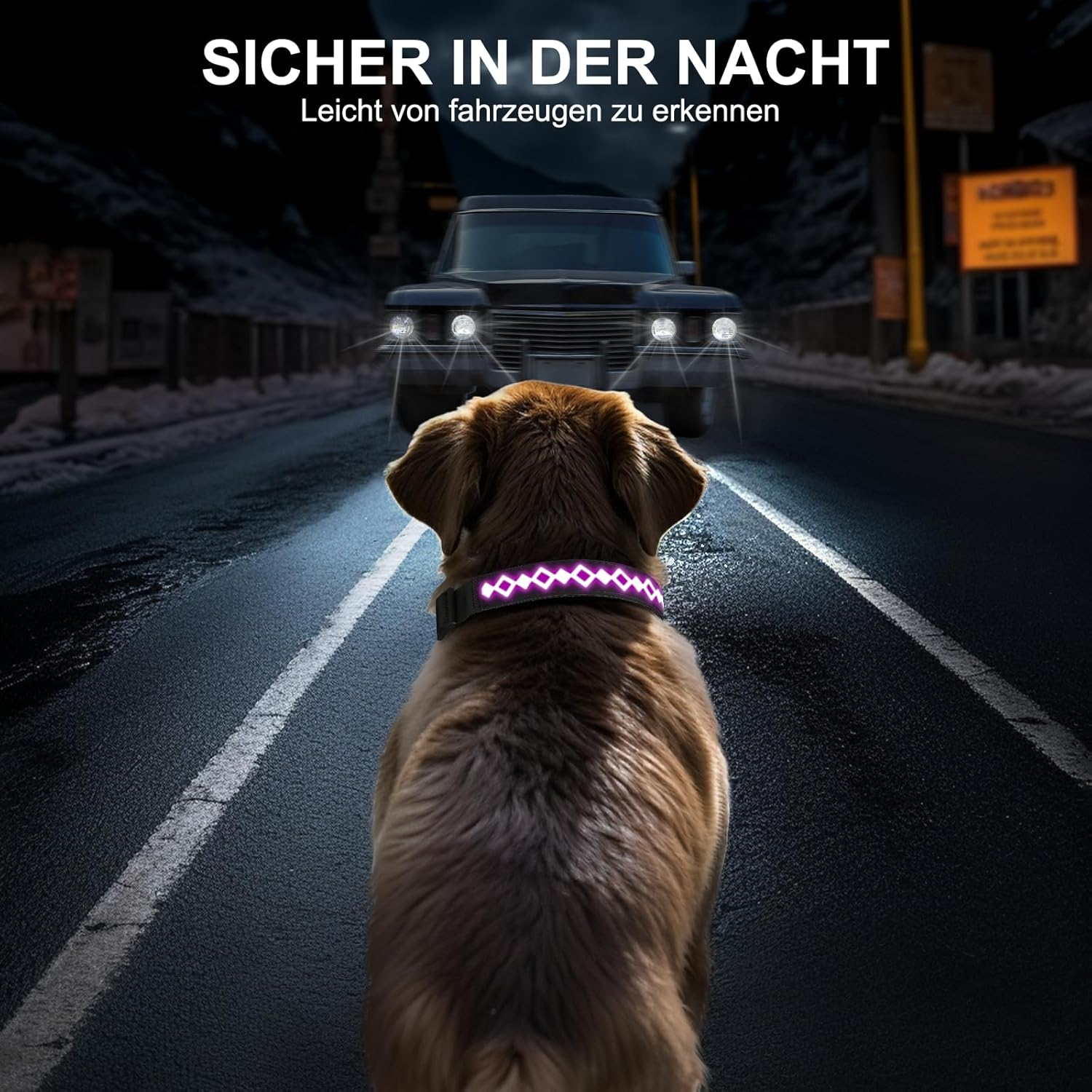 LED Airtag Dog Collar, Light Collar, Dog, IP67 Waterproof, USB Rechargeable Dog Light, 1,600 Feet High Visibility, 14 Lighting Modes for Dogs, Night Safety image number 3