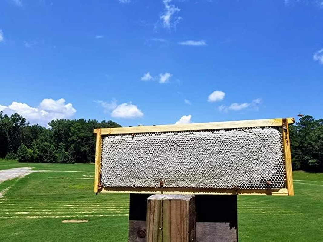 Fischer'S Bee Quick Bee Repellent for Removing Honey Bees from Beekeping Equipment in a Safe and Organic Way (8 Oz Bottle) image number 1