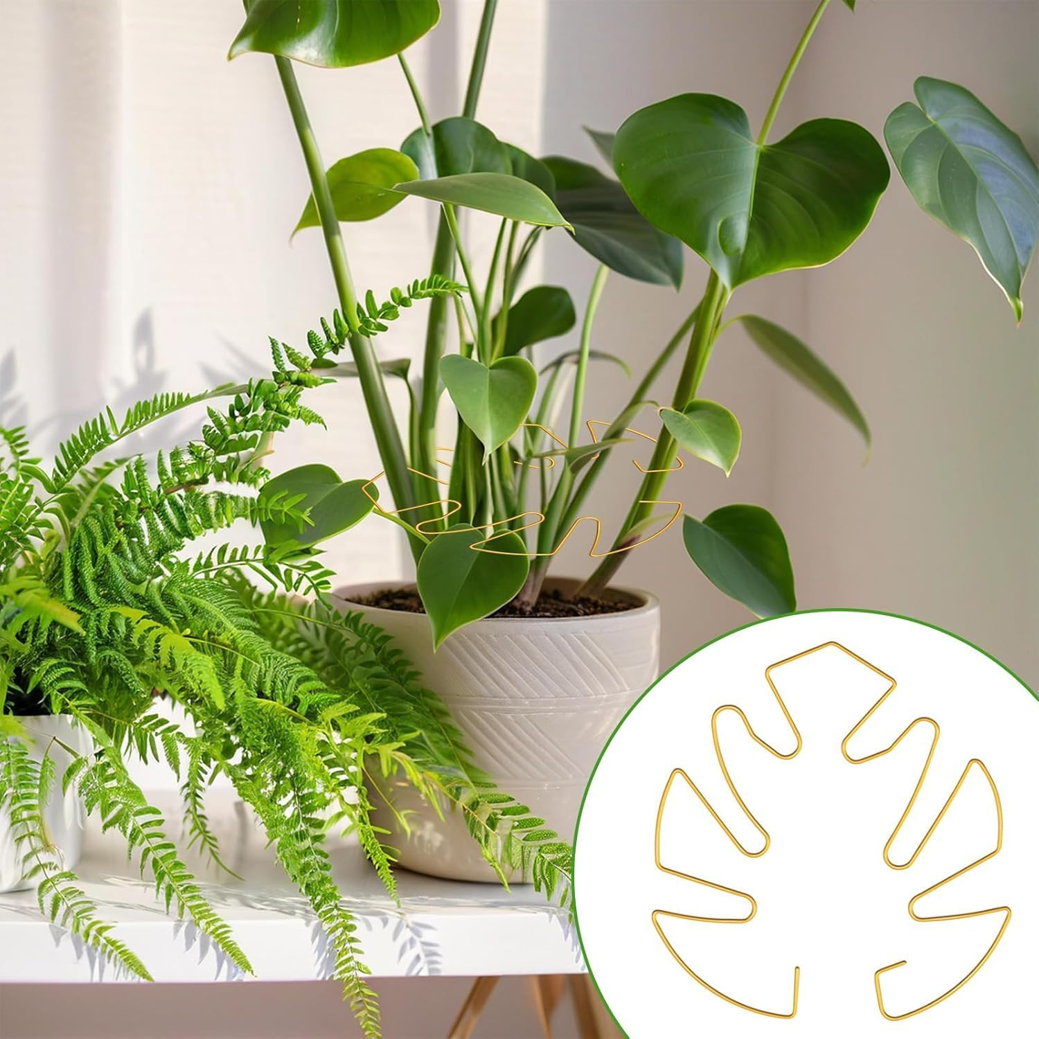 Metal Monstera Plant Support Stabilizer, 4Pcs Indoor Outdoor Plant Holder, Metal Monstera Stabilizer Grapple Holder, Monstera Stabilizer Grapple Holder, Metal Monstera Plant Support image number 2