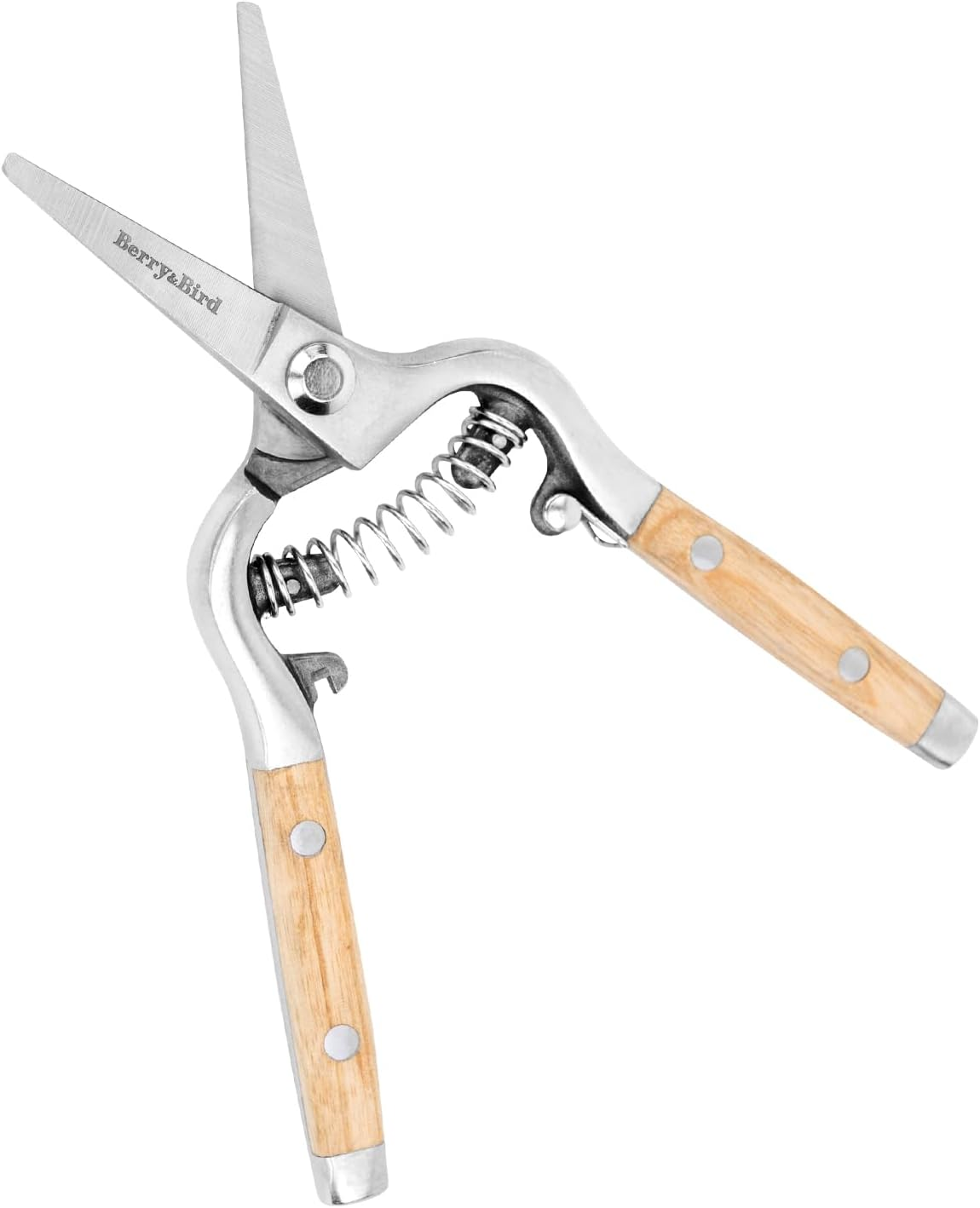 Berry&Bird Straight Pruning Shears with Stainless Steel Blades Garden Hand Pruner 8'' Scissors with Wooden Handle Clippers for Gardening Trimming Cutting Bonsai image number 5