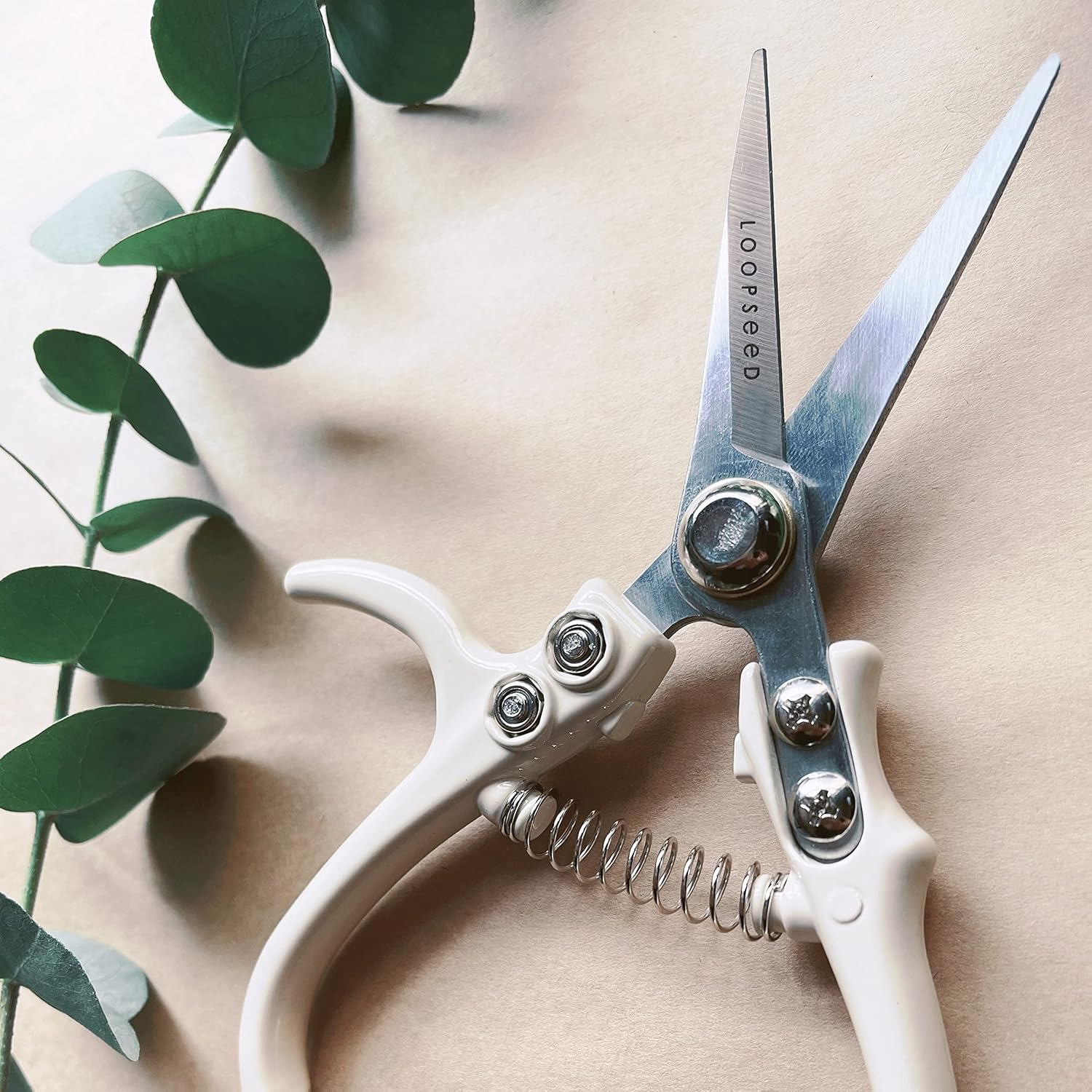 Plant Pruning Shears with Vegan Leather Sheath Garden Trimming Scissors with Belt Holster Bonsai Trimmers Herb Snips Flower Clippers Modern Tools 2 Piece Bundle (Cream Pruner Beige Sheath) image number 3