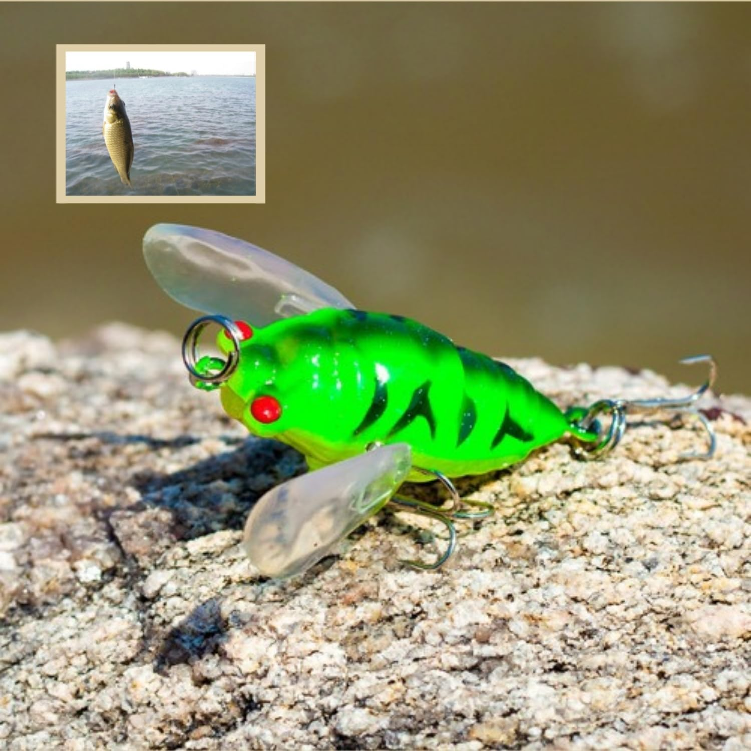 Taicols Cicada Fishing Lure, 5 Fishing Cicada Bait, Lifelike 3D Holographic Eyes Freshwater Bait, Sturdy Fishing Topwater Lure Artificial Fishing Bait, Fly Fishing Lures,For Fishing Enthusiasts image number 2
