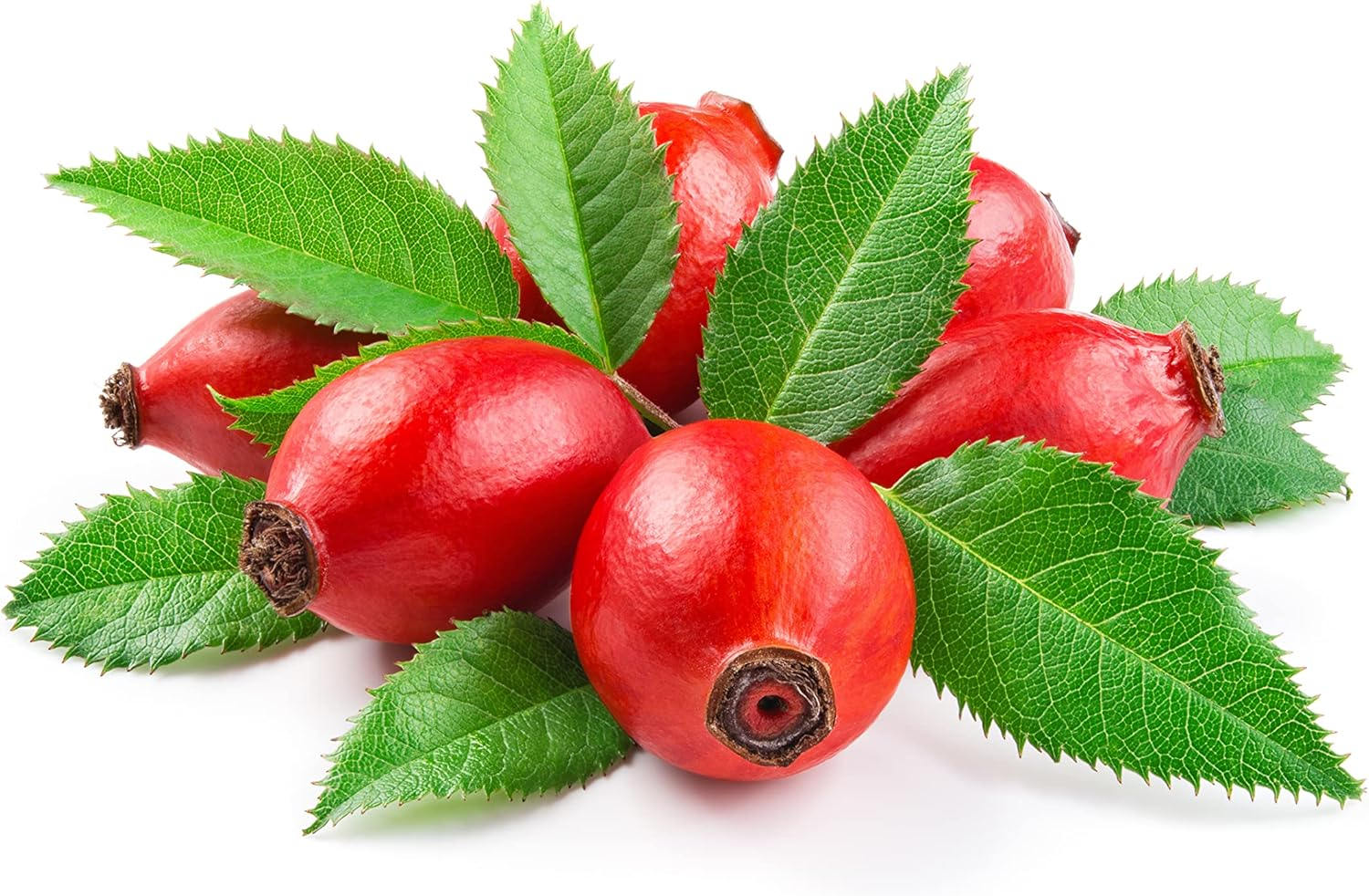 OPO Rosehip Oil - 8 Oz - Pure, Unrefined, Non GMO, Cold Pressed, Vegan Carrier Oil for Face, Hair, Skin, Nails, Body Aging Skin Beard Locs Mustache Lashes - Packaging May Vary image number 6