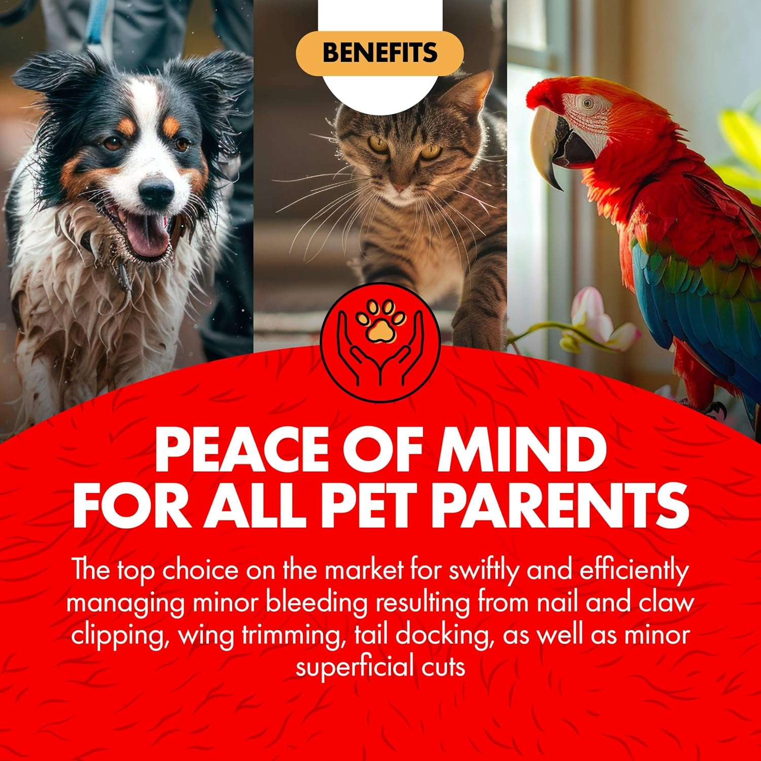 Miracle Care Kwik Stop Styptic Gel Swabs for Dogs, Cats and Birds, 3 Single Use Applicators, Fast Acting Blood Stop with Pain Relieving Benzocaine