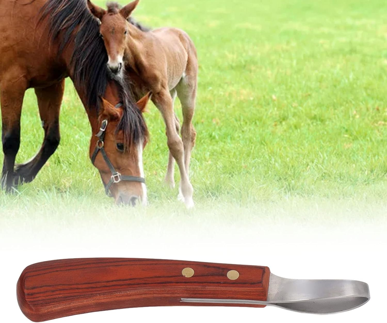 Hoof Knife,Stainless Steel Blade Curved Farrier Horse Hoof Trimmer with Non Slip Rubber Wood Handle,Multipurpose Hoof Loop Trimming Knife,For Horses,Donkeys,Cattle image number 1