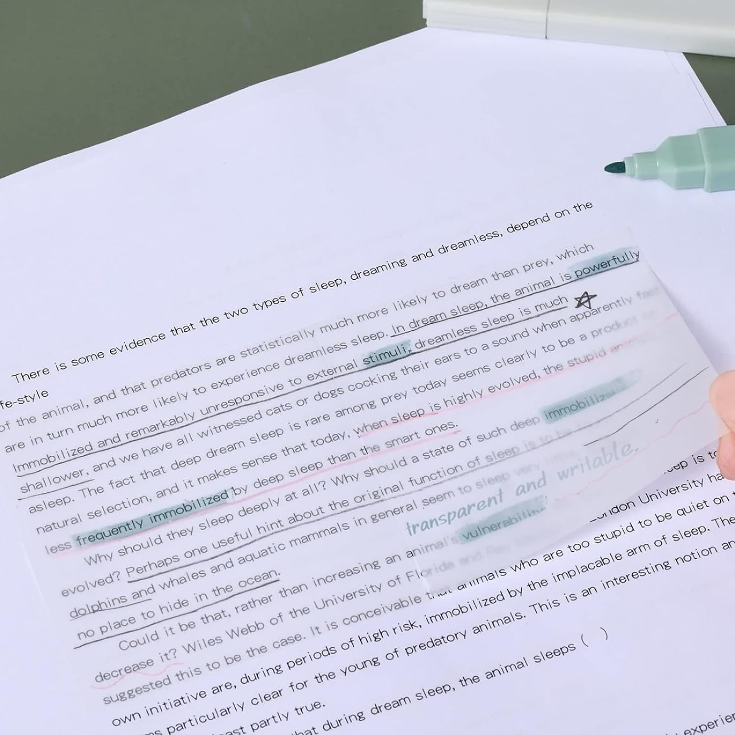 MAIHUO 6 Pcs Aesthetic Highlighters and 600 Sheets Transparent Sticky Notes,Sticky Note Transparent with Marker Pens Set,For Aesthetic Bible Marker Book Annotations School Supplies Office Supplies image number 3