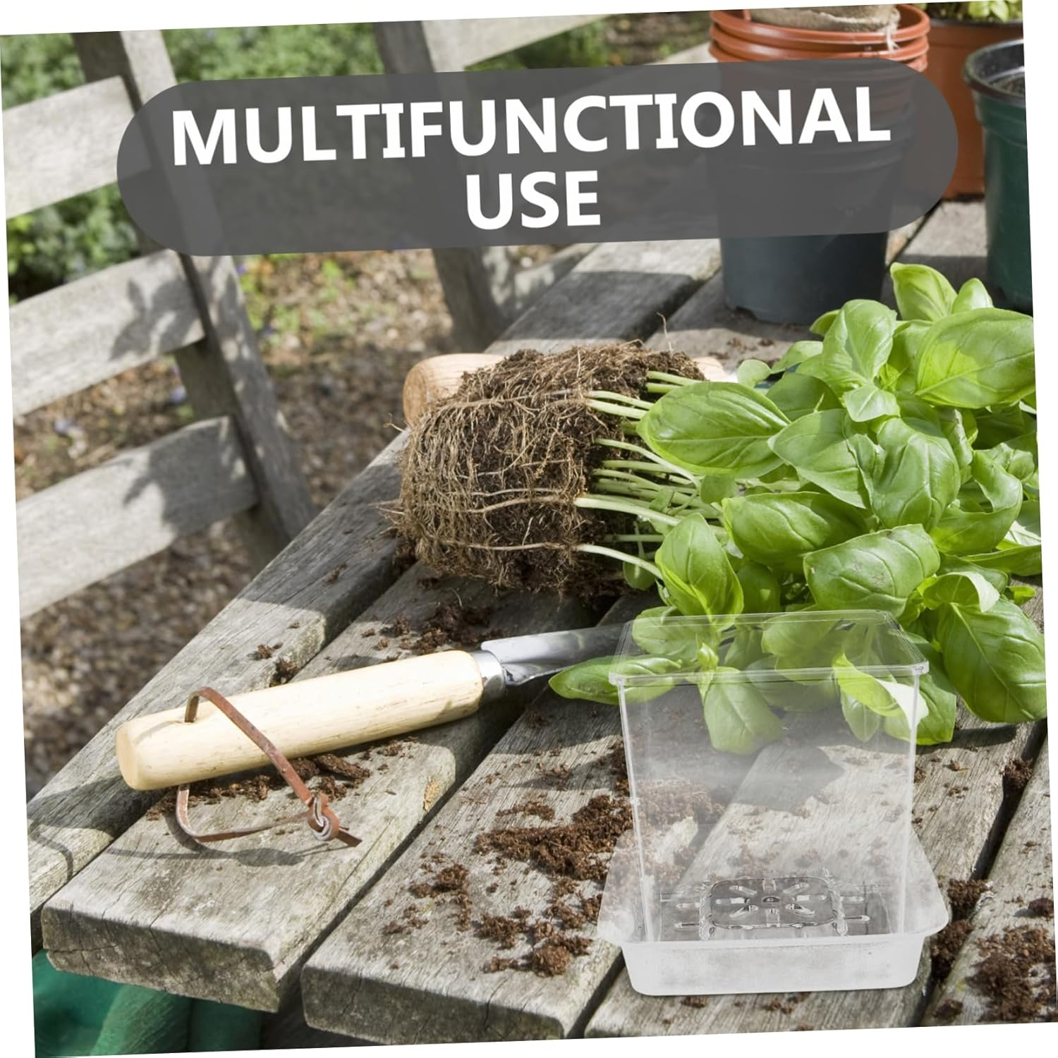 NAMOARLY Interactive Mini Plant Pots Hydroponic Design for Root Growth Observation Boys and Girls Seedling Pots Planters for Indoor Gardening Educational Planters image number 1