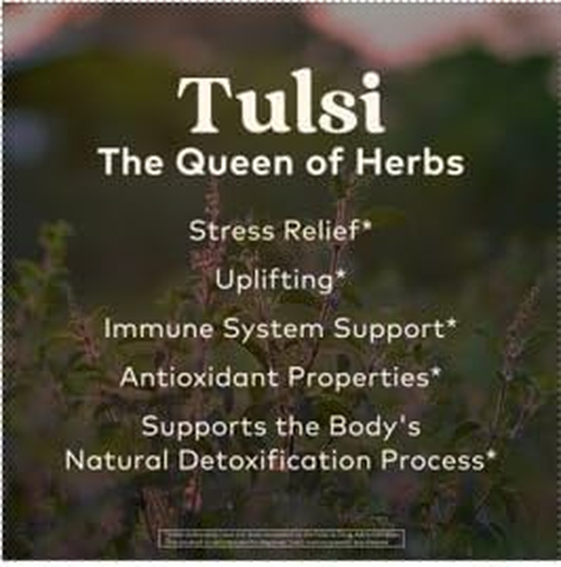 Organic India Tulsi Wellness Sleep Tea, 25 Tea Bags image number 4