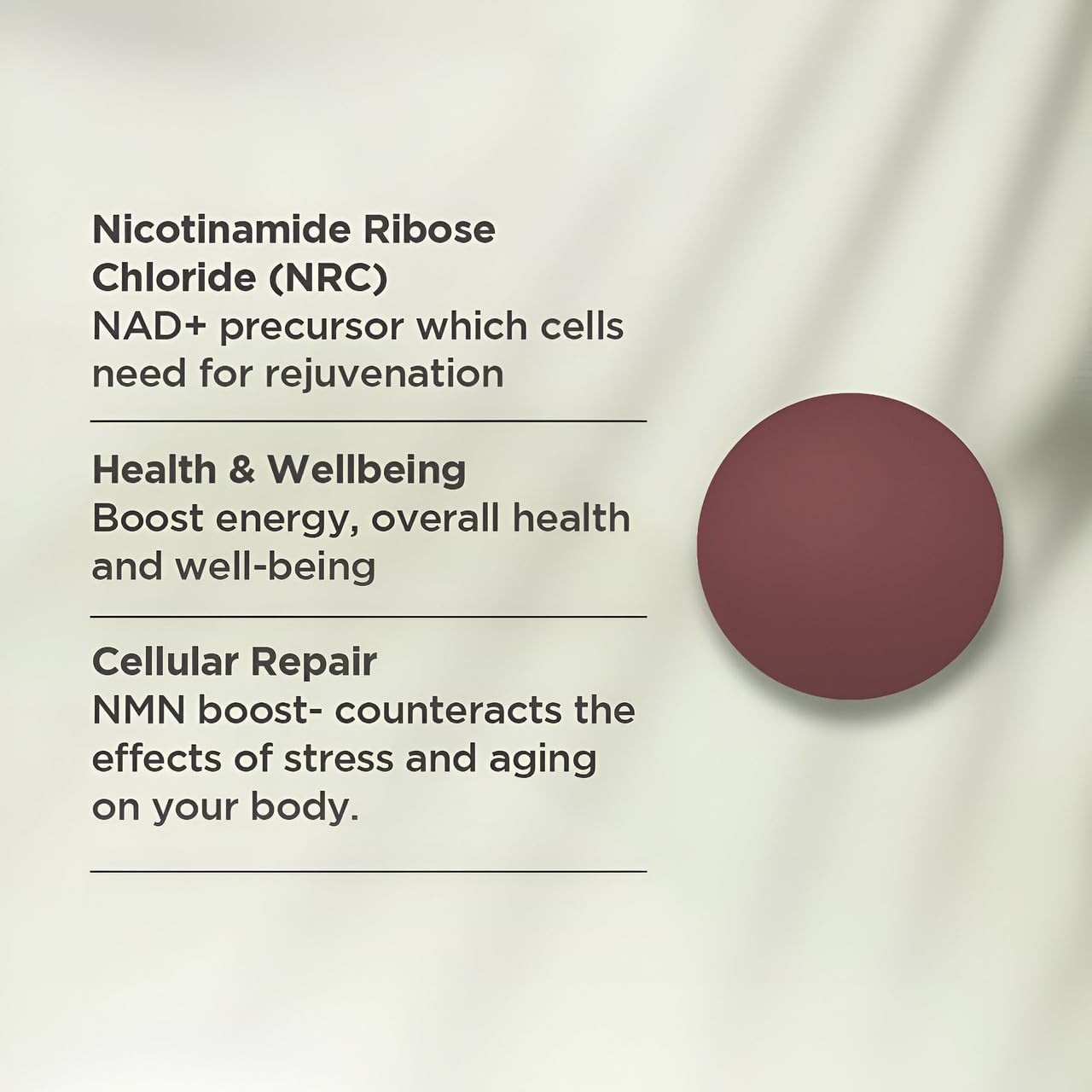 NR Brain Boost Nicotinamide Riboside Chloride | Supports Cognitive Performance | Energy Levels | Collagen Formation | 300Mg per Vegetarian Capsule. 30 Day Supply | Australian Made | 30 Capsules image number 2