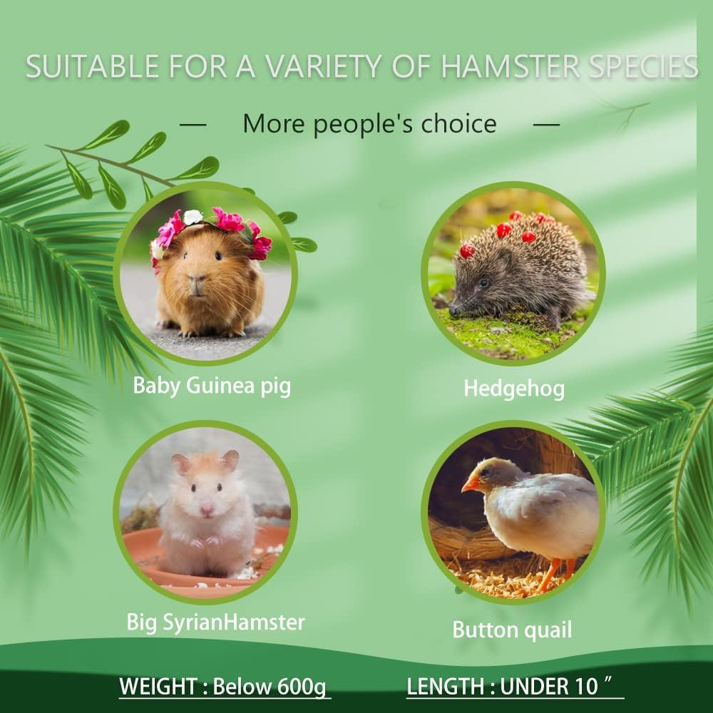 Kcrygogo Hamster Maze Wood House Fun Slide House Double-Decker Hut Chew Toys for Dwarf Gerbil Mouse Mice Rat Small Animals image number 2