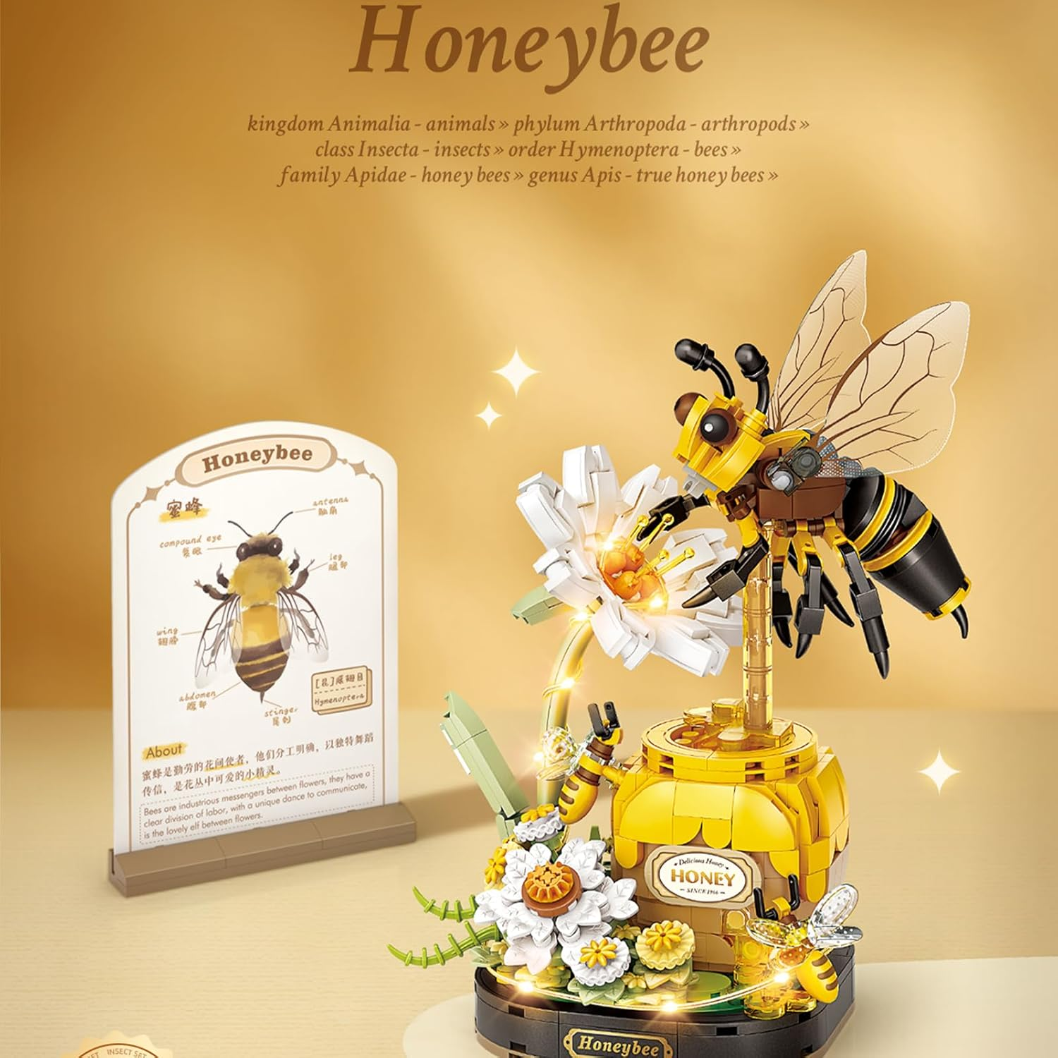 Insect Botanicals Micro Building Blocks Series with Strand and LED Light, Botanical Desk D&eacute;cor | STEM Model Kit for Adults & Teens (Honeybee) image number 5