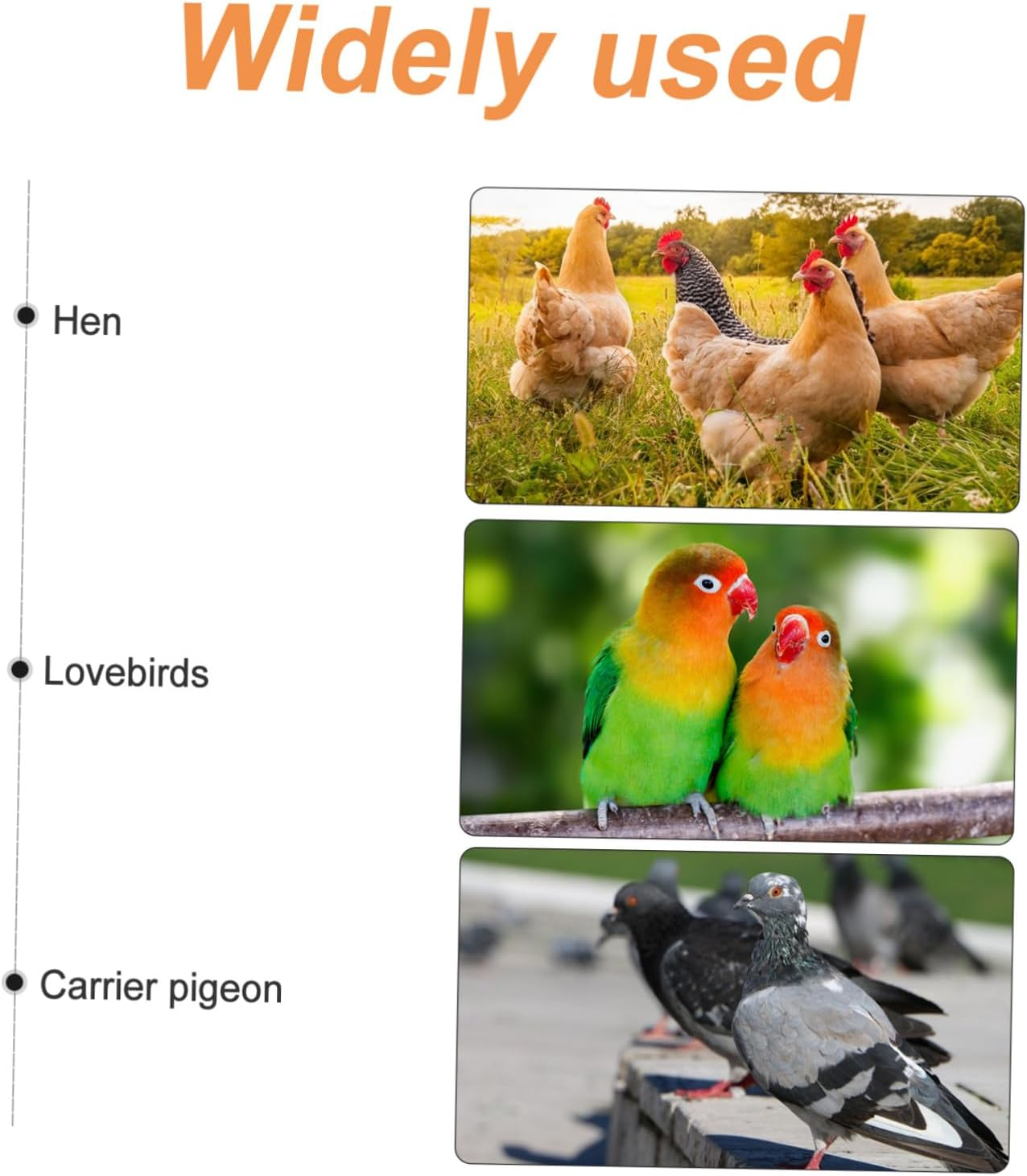 WOONEKY 2Pcs Pigeon Feeding Troughs Pigeon Cage Food Boxes Non-Slip Base Safe Healthy Bird Feeder for Small Birds