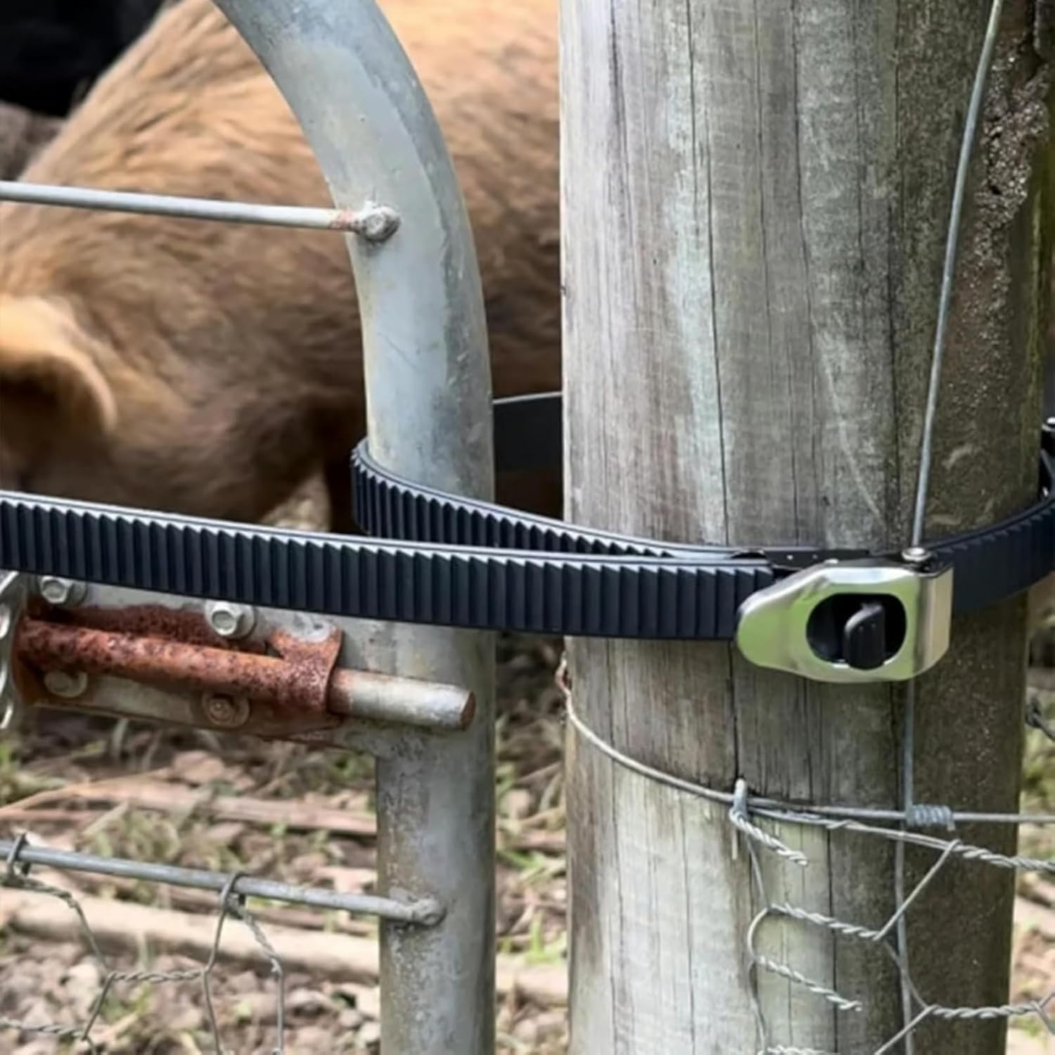 Heavy-Duty Stainless Steel Grip Lock Straps, Reusable Adjustable Locking Belt with Metal Buckle, Strong Ratchet Tie down Straps for Luggage, Cargo, Bikes, and Daily Use (6Pcs) - 4Pcs image number 6