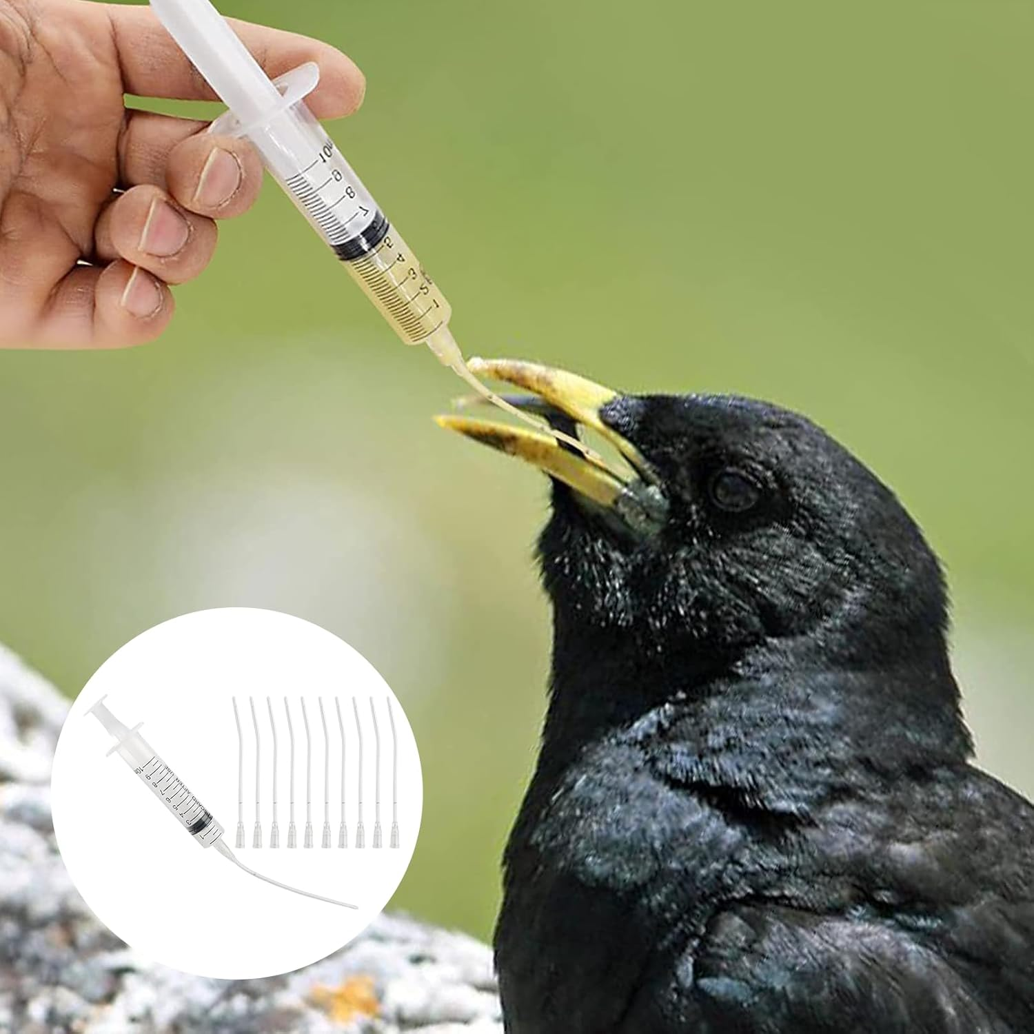 Pack of 10 Young Birds Feeding Tube image number 5