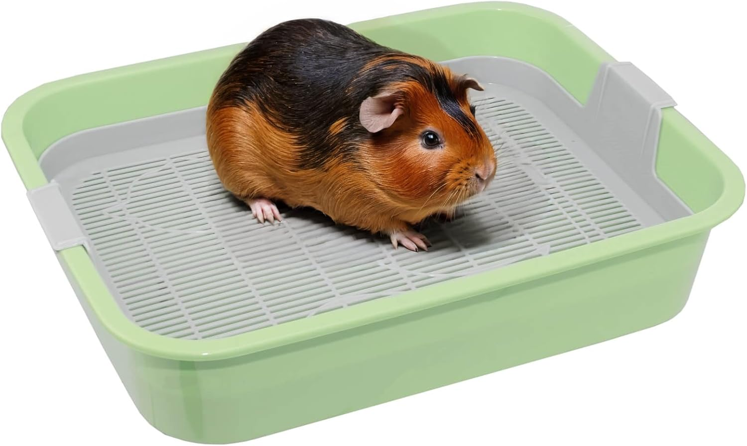 Kitten Toilet Small Cat Litter Tray for Kittens with Strainer Toilet for Small Animals Rabbit Toilet Rodent Toilet image number 5