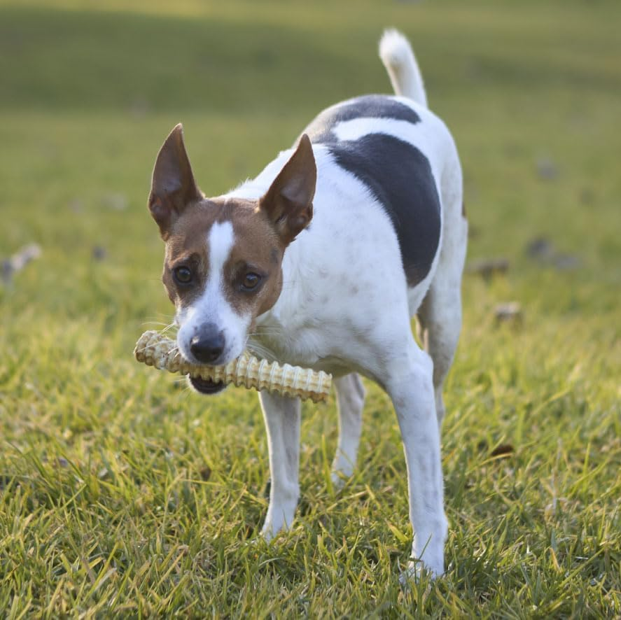 Kazoo Prime Cuts Shark Cartlige - 100G image number 3