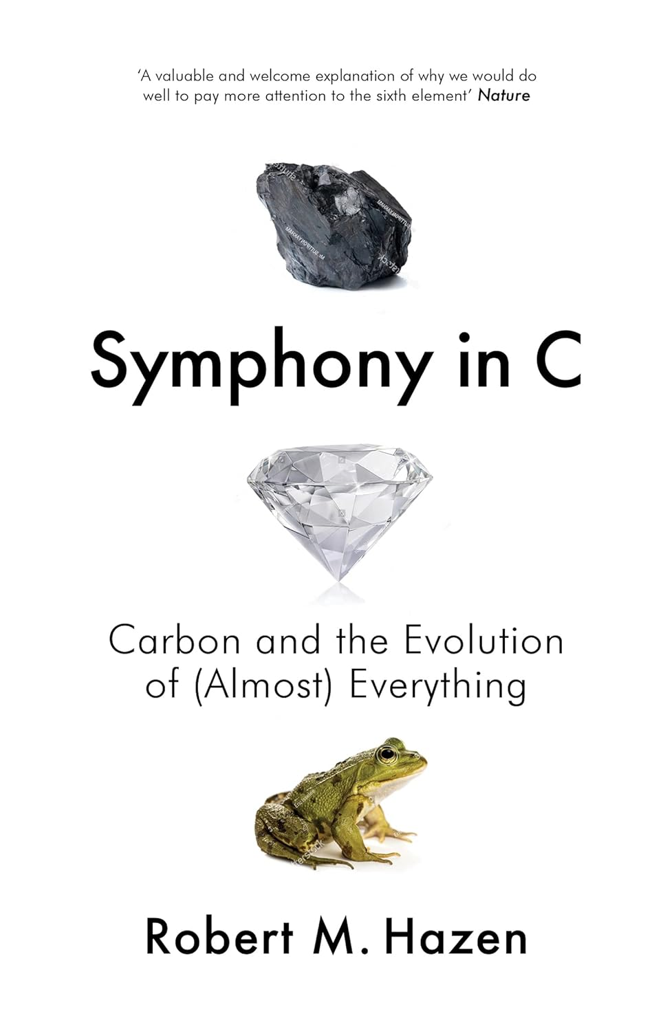 Symphony in C: Carbon and the Evolution of (Almost) Everything image number 4