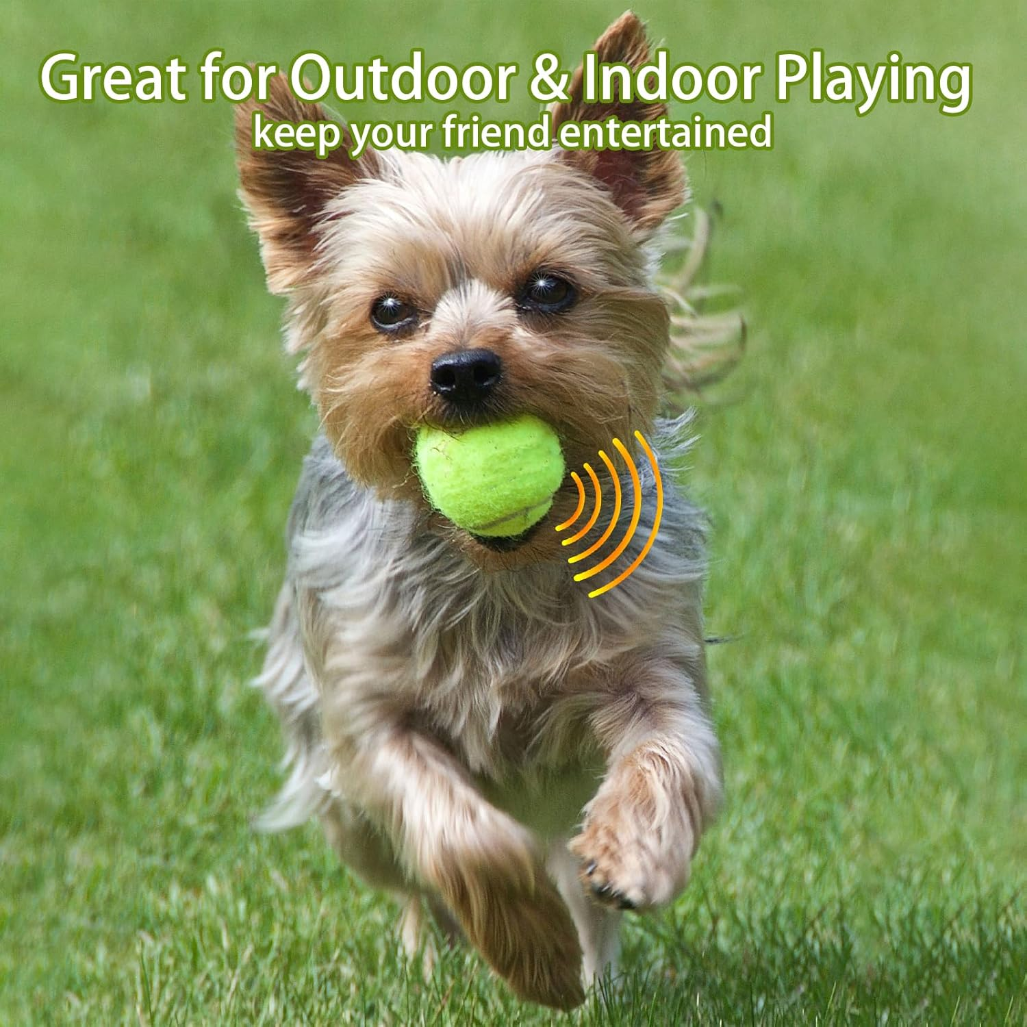 Magicorange Dog Tennis Balls, 20 Pack 2.5 Inch Floatable Squeaky Tennis Balls for Fetch Exercise, Natural Rubber Squeaky Dog Balls Training Safe (Yellow, 2.5Inch)