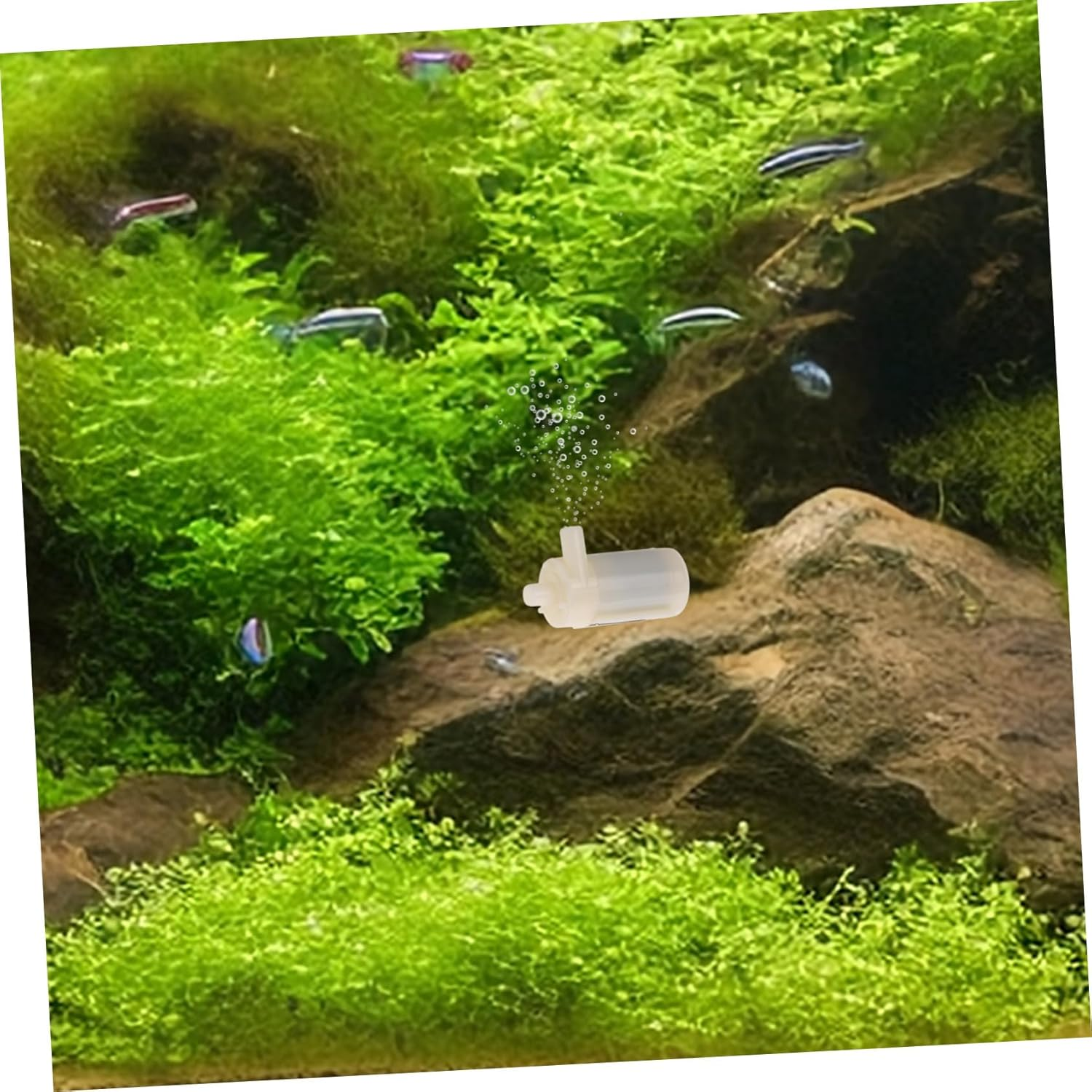 Mini Submersible Water Pump USB Dc Low Voltage Brushless Fountain Pump for Aquarium Outdoor Circulation with Quiet Operation and Multi-Scene Use image number 2