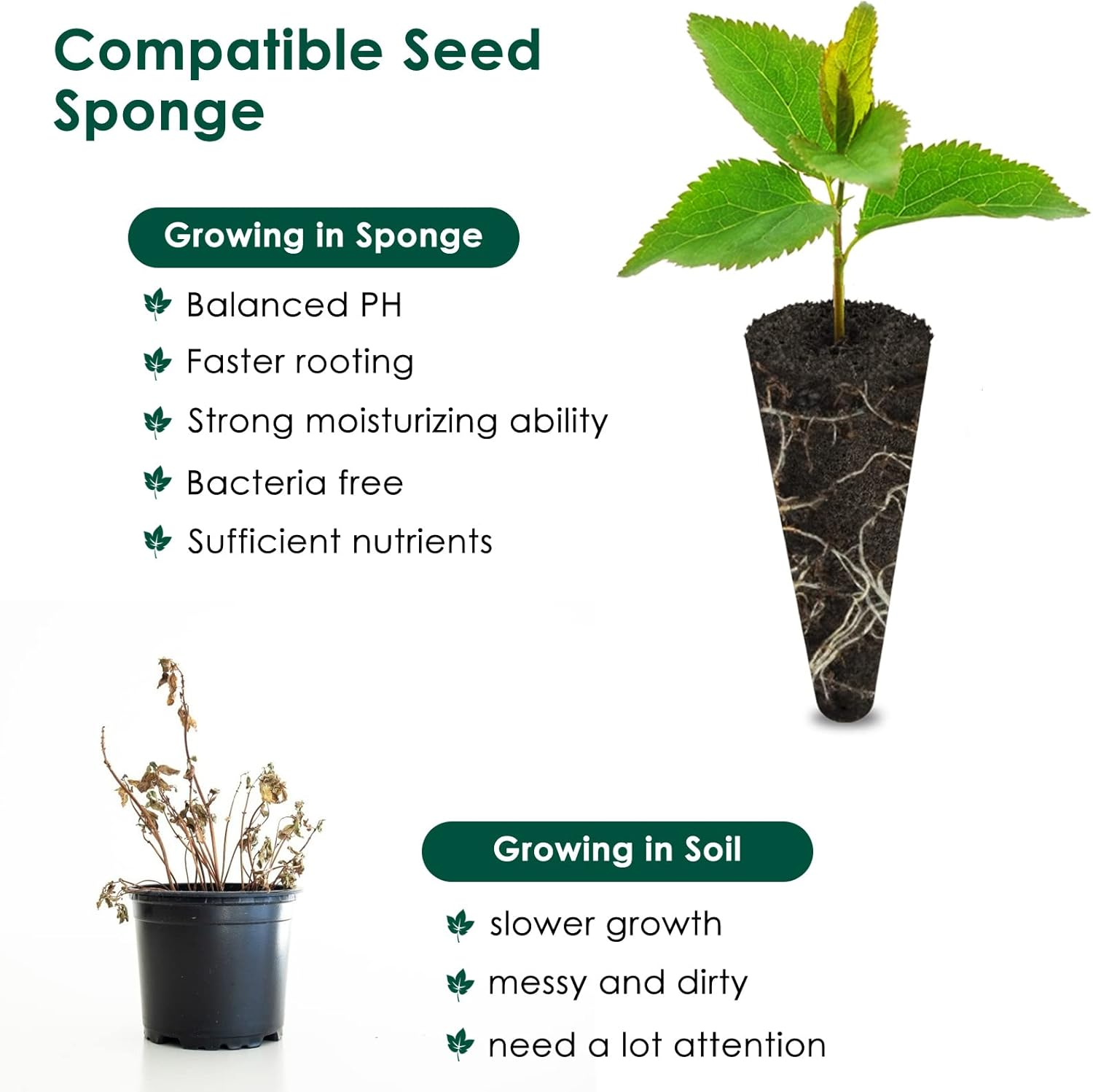 PACETAP 80 Pack Grow Sponges Compatible with Aerogarden, Replacement Refill Grow Sponge for Hydroponic Indoor Garden System image number 6