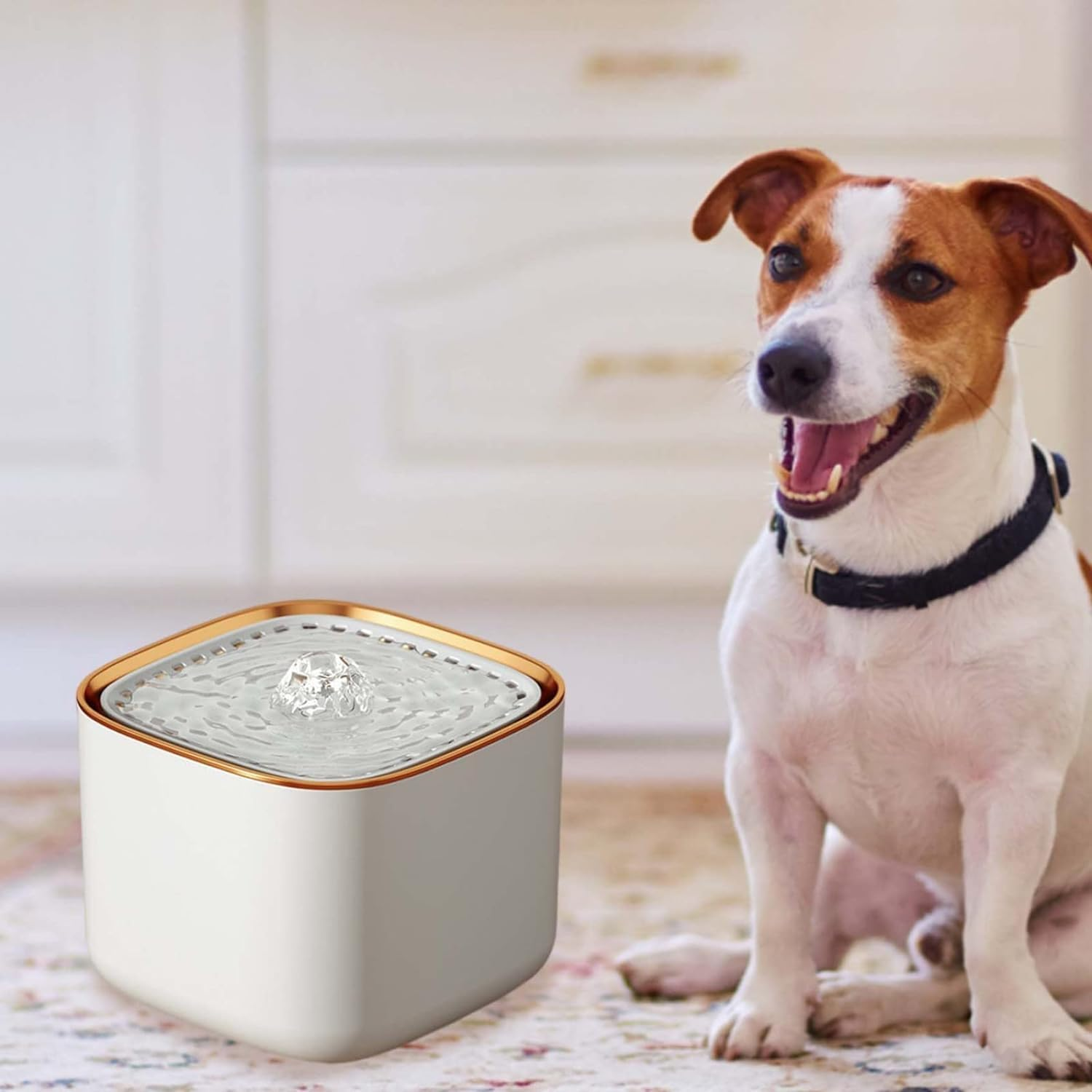 Dog Water Bowl Pet Drinking Fountain 3L Removable Automatic Cat Water Dispenser Circulating Filtration Pet Water Dispenser for Cats and Small Dogs Pet Bowl image number 2