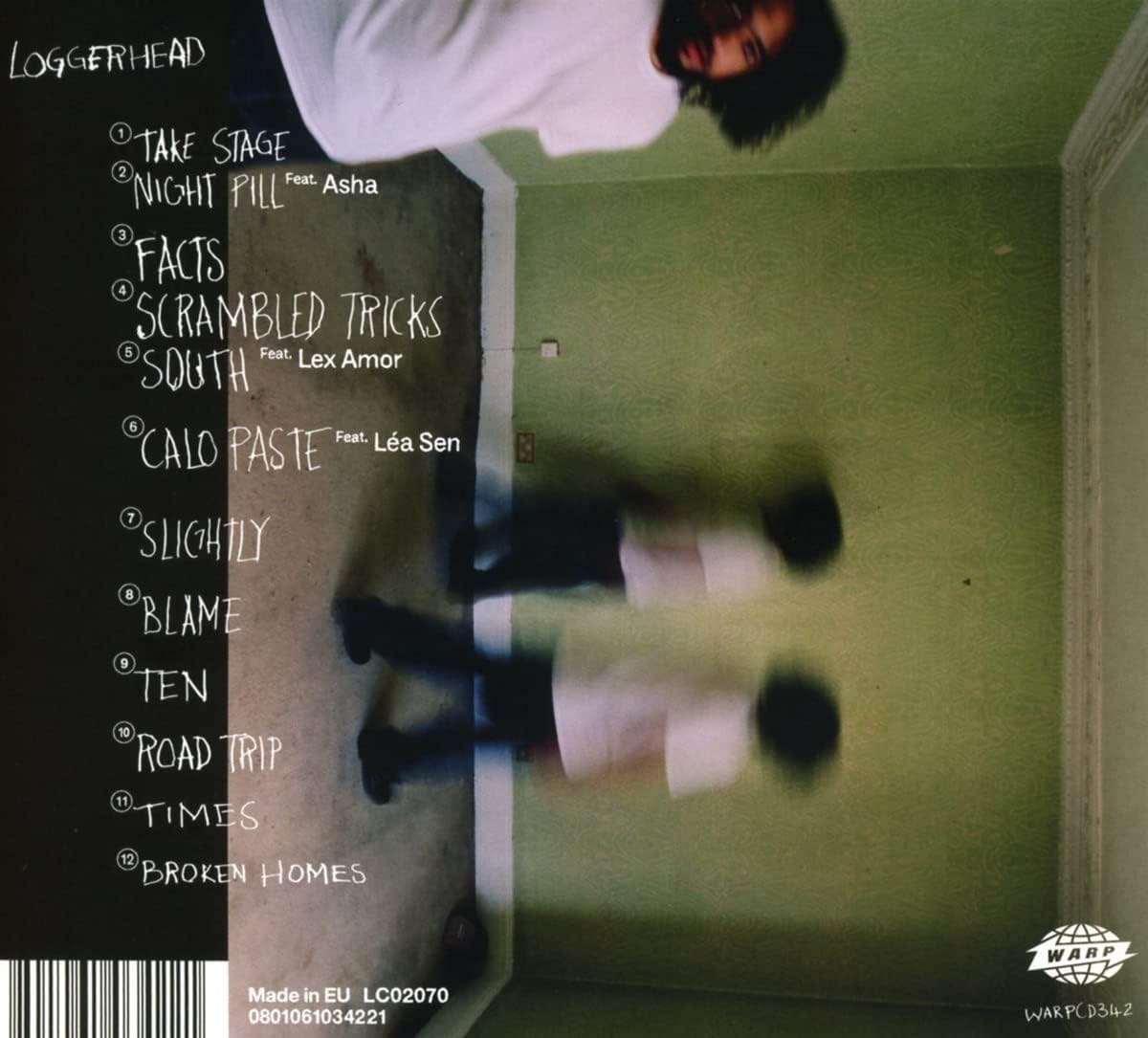 Loggerhead Loggerhead image number 2