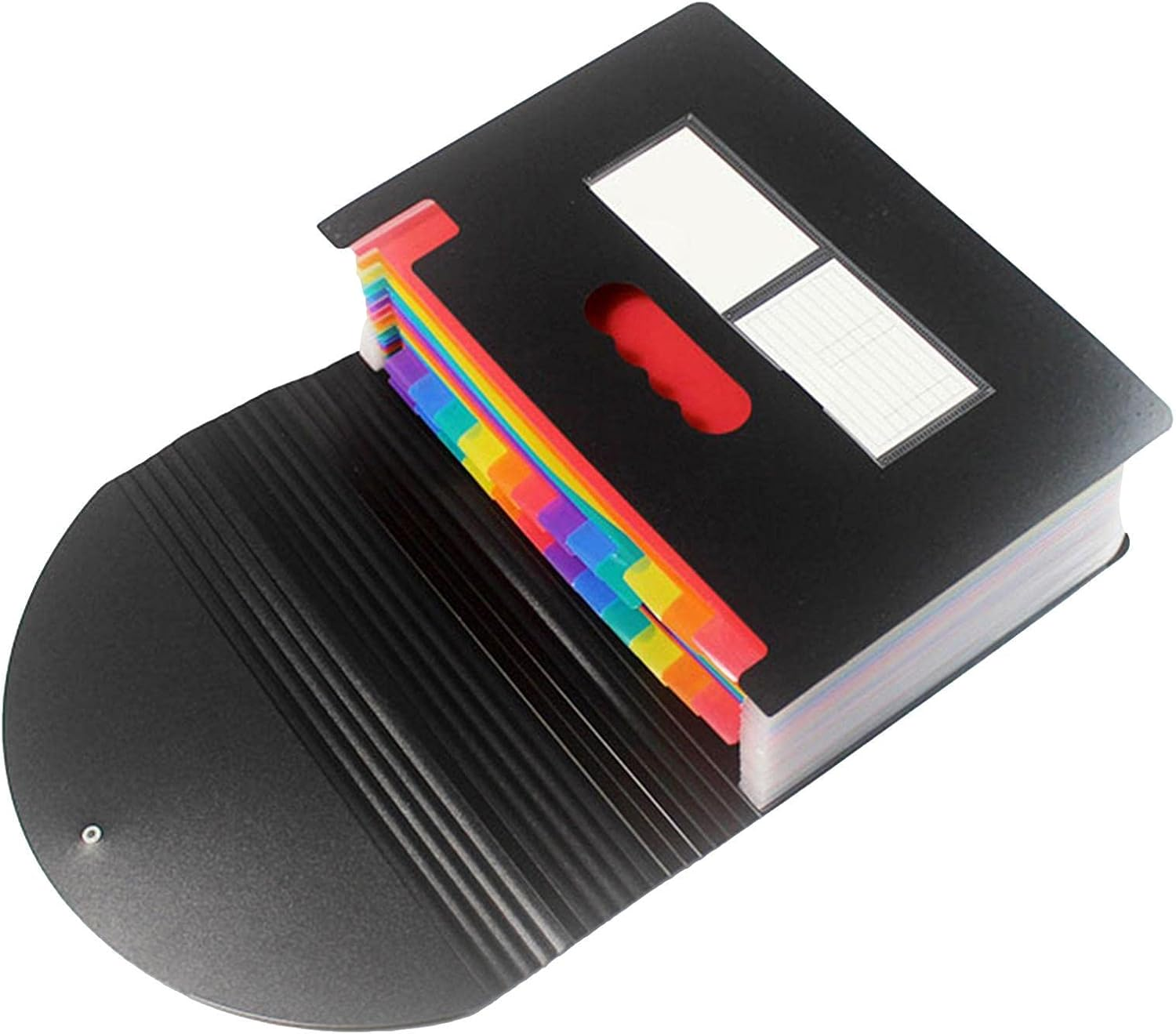 2 Folder Portable Organ File Bag,12 Pockets Accordion File Holder Organizer A4 Folder | Paper Document Receipt Organizer Accordion Filing Folder for Classroom, Home, Office, and Travel Puchen