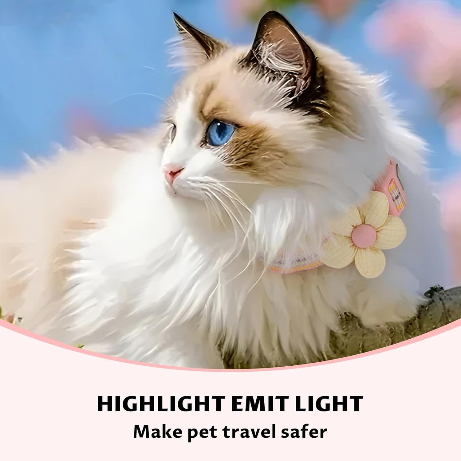 Velmoriah Small Dog Collar with Rose Flower, Puppy Collar with Reflective Strips, Girl Dog Collars for Small Dogs Puppies (Pink, S) image number 3