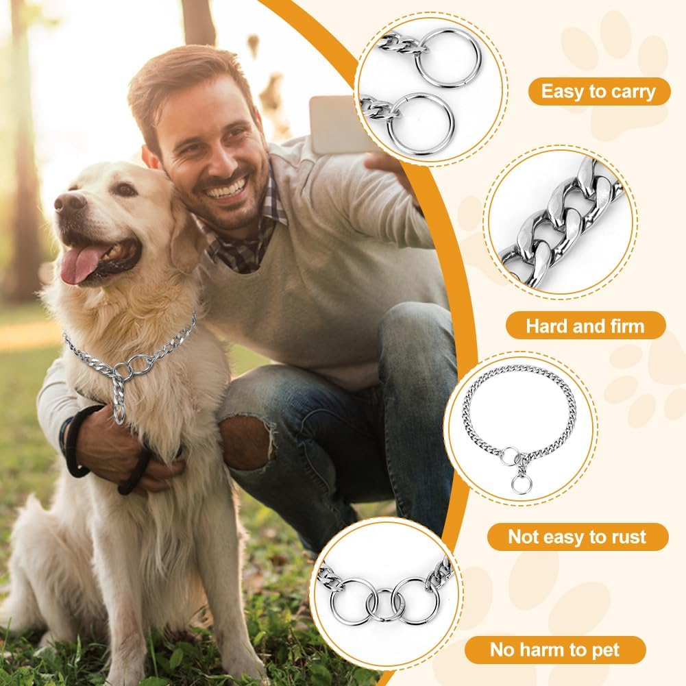 AUAUY Dog Chain Collars, Durable Metal Choke Chain for Dog, Training Collar Chain, Silver Plating No Pull Pet Collar Chain for Pet Outdoor Training Small Medium Large Dogs, Diameter 4.0Mm Length 65Cm