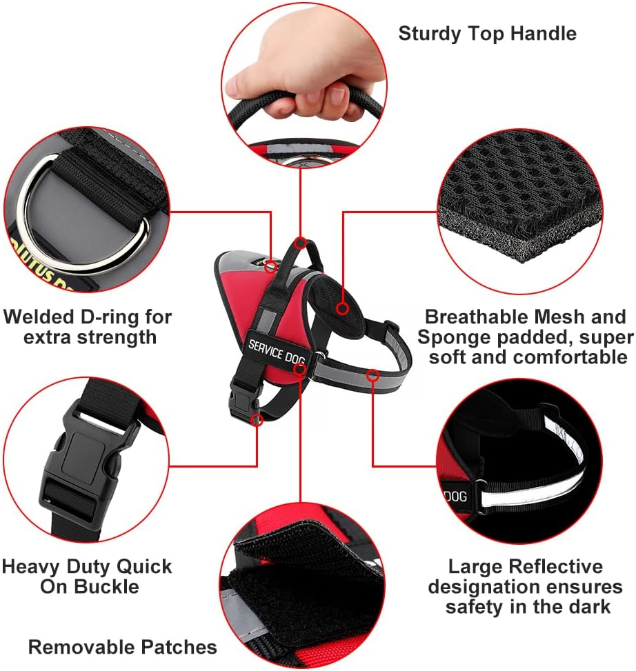 PLUTUS PET No Pull Service Dog Vest Harness for Small Breed Dogs,Soft Padded Dog Harness Adjustable with Handle & Reflective Material for Easy Control & Safety (Red,S) image number 6