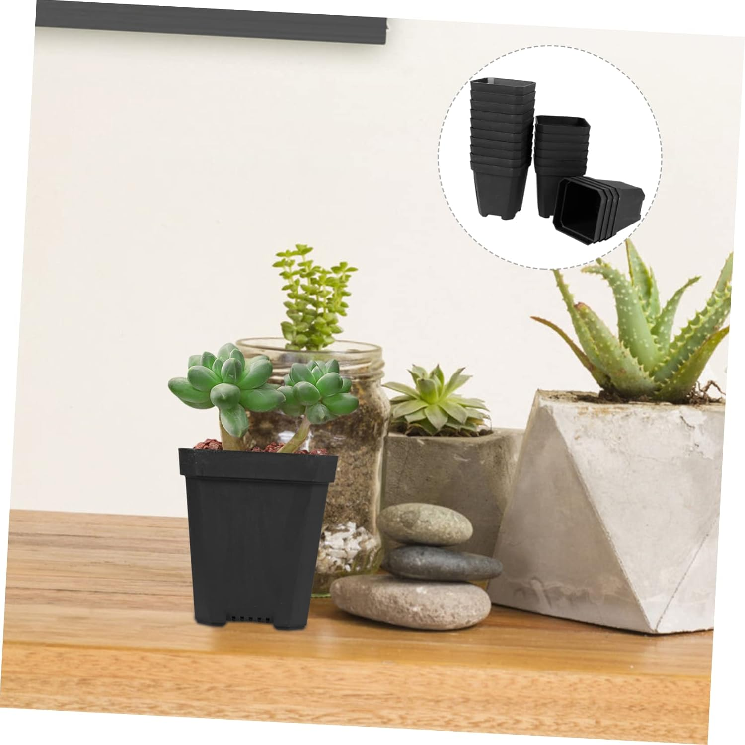 20Pcs Black Succulent Starter Pots Nursery Planters for Gardening and Seedling Propagation Outdoor Small Plant Containers - Black image number 6