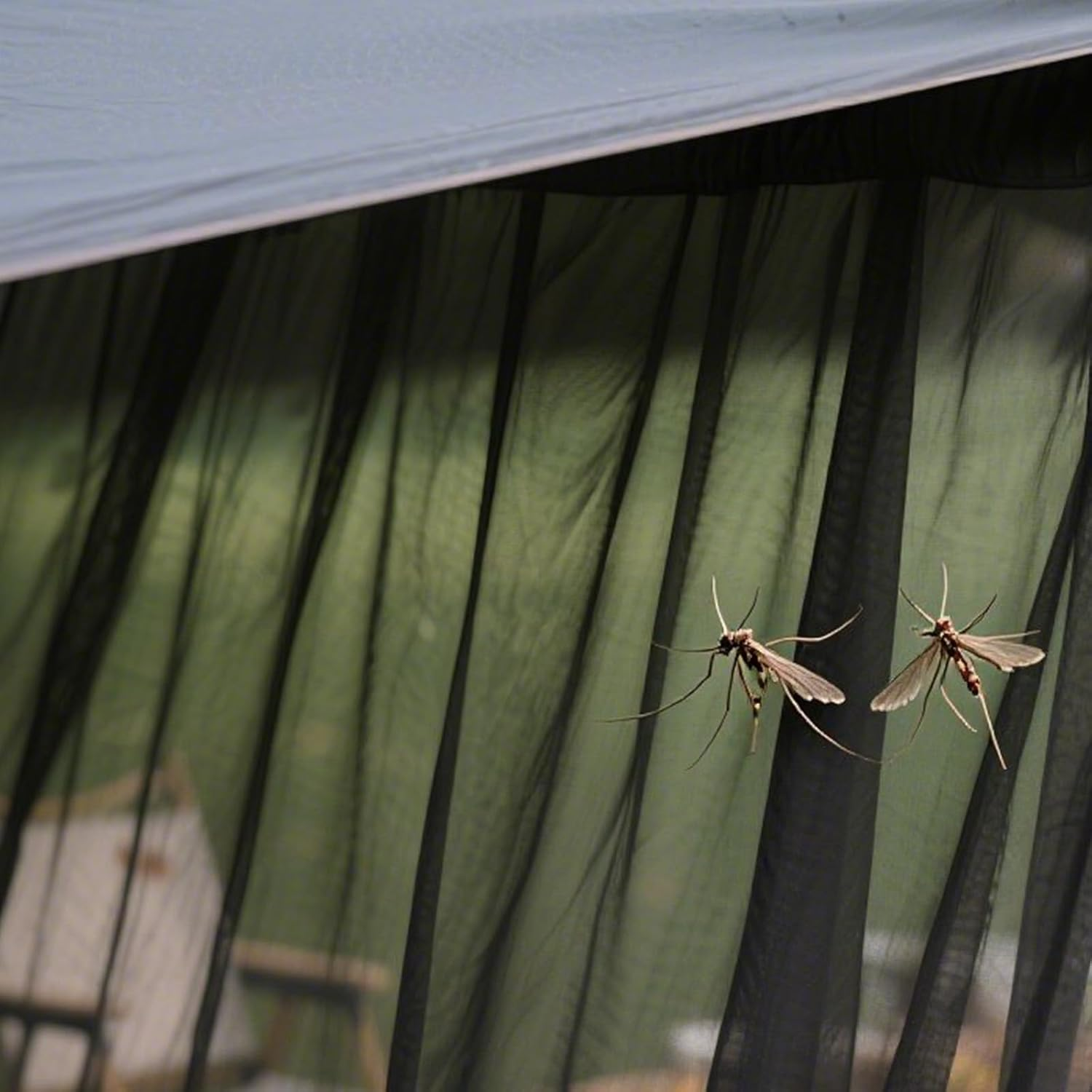 Mosquito Net Cloth Fabric, Black DIY Mosquito Net Fabric Hexagonal Mesh Garden Breathable Plant Covers for Patio Apartment Balcony Porch Outdoor Bed Wedding Black 120X60 Inch/10 &times; 5 Ft image number 6