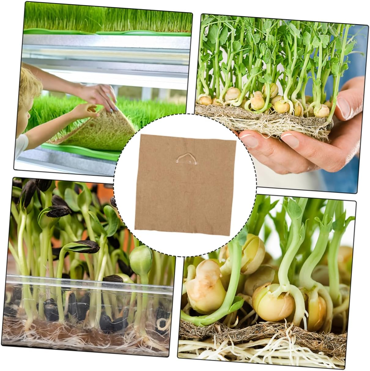 Parliky Jute Seed Growing Pads for Microgreens Sprouts Growing Paper 2Pcs Square Germination Tray Papers for Seed Starter Tray and Seeding Supplies in Indoor Gardening image number 4