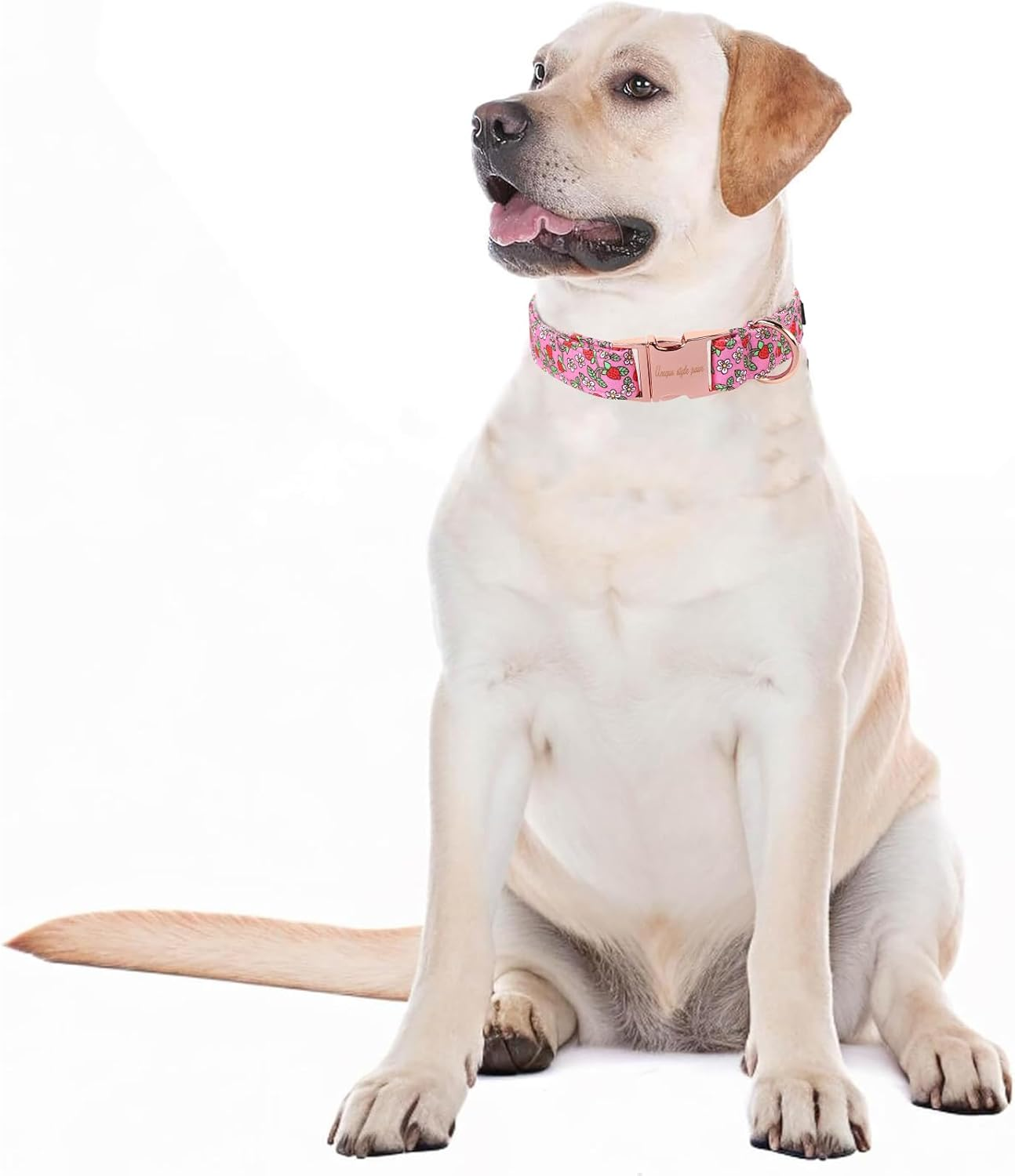 Unique Style Paws Summer Pink Strawberry Dog Collar Harnesses Collars & Leads for Collar Dog Wide Bow Tie Chain Dog Collar Pull Collar Gifts for Small Medium Large Dogs XS image number 1