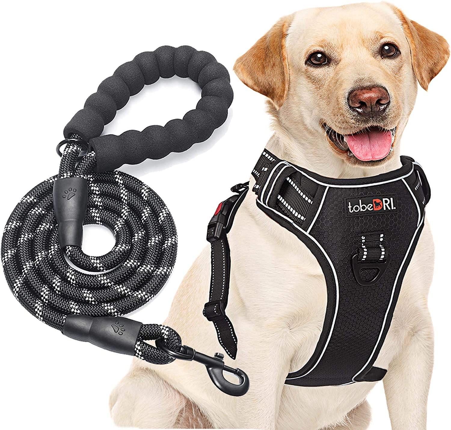 No Pull Dog Harness Adjustable Reflective Oxford Easy Control Medium Large Dog Harness with a Free Heavy Duty 5Ft Dog Leash (L (Neck: 18"-25.5", Chest: 24.5"-33"), Blue Harness+Leash)