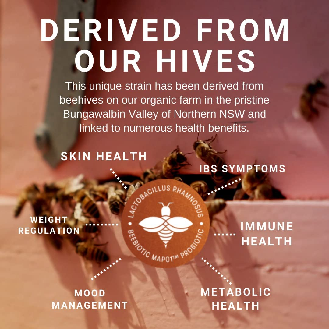 P3 Gut Builder - Triple Action Postbiotic Tonic image number 4