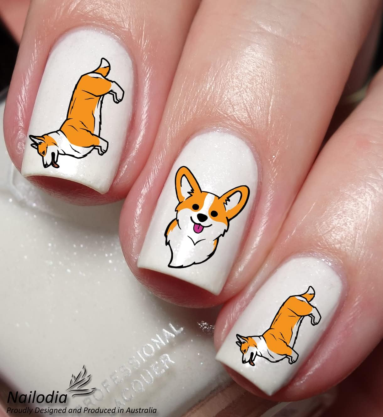 Corgi Dog Puppy Nail Art Decal Sticker