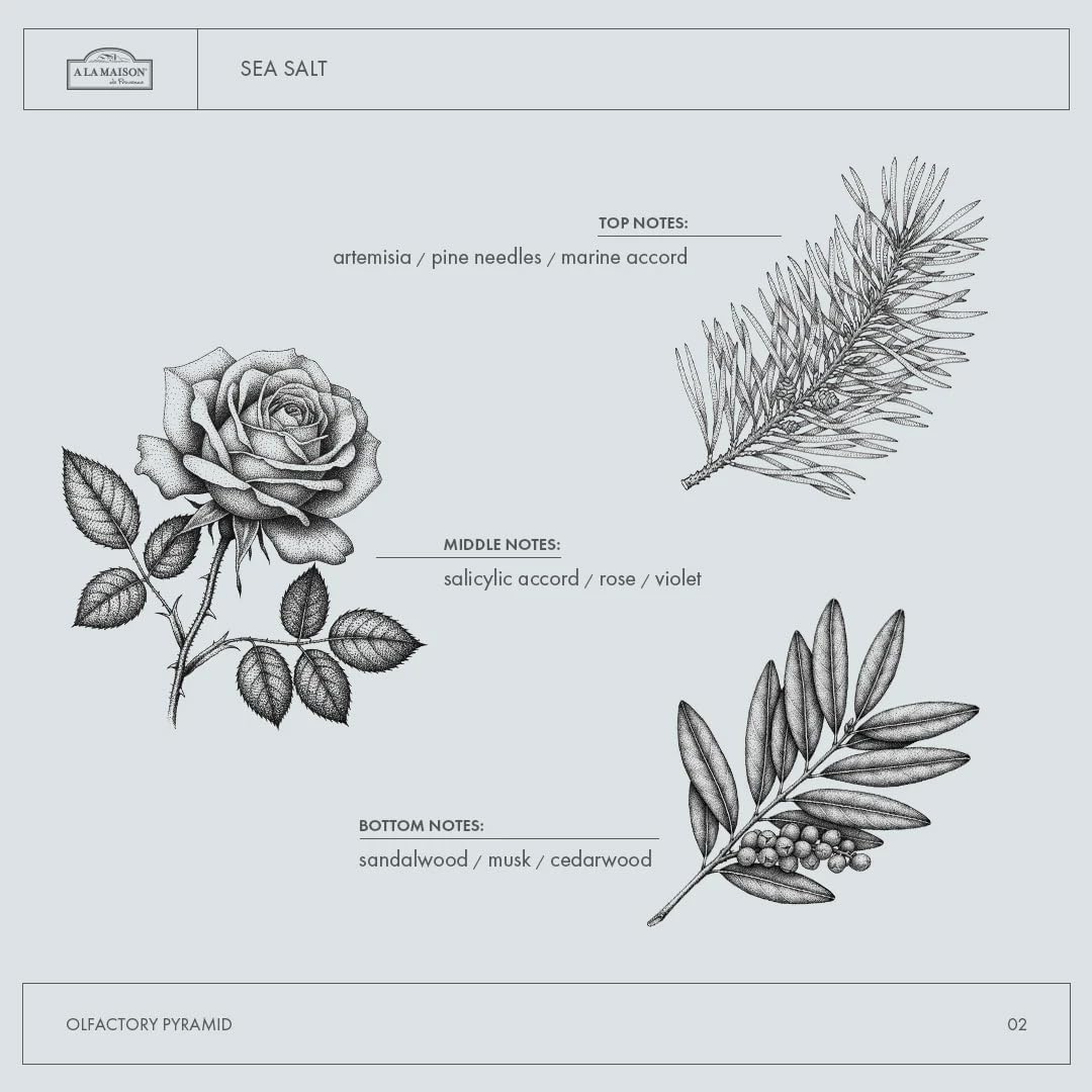 A LA MAISON Liquid Fresh Sea Salt Soap, 16.9 Fl Oz (500Ml) image number 3