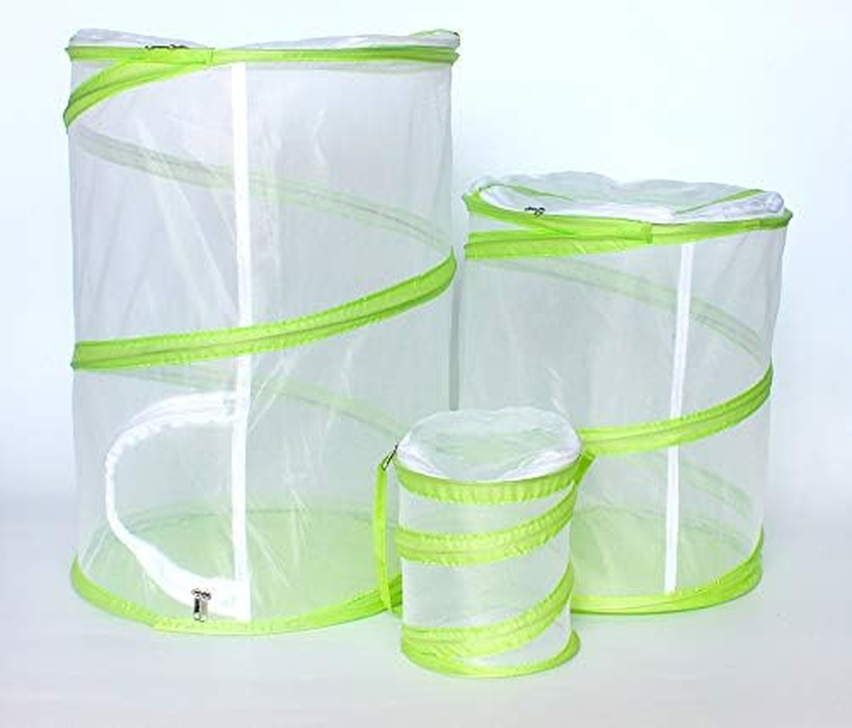 Pop-Up Cylinder-Shaped Insect Observe Cage Butterfly Habitat Cage (L) image number 2