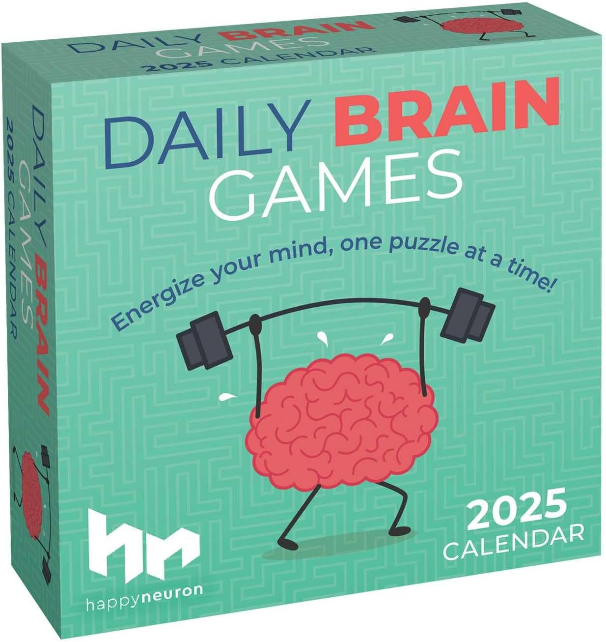 Daily Brain Games 2025 Day-To-Day Calendar image number 6